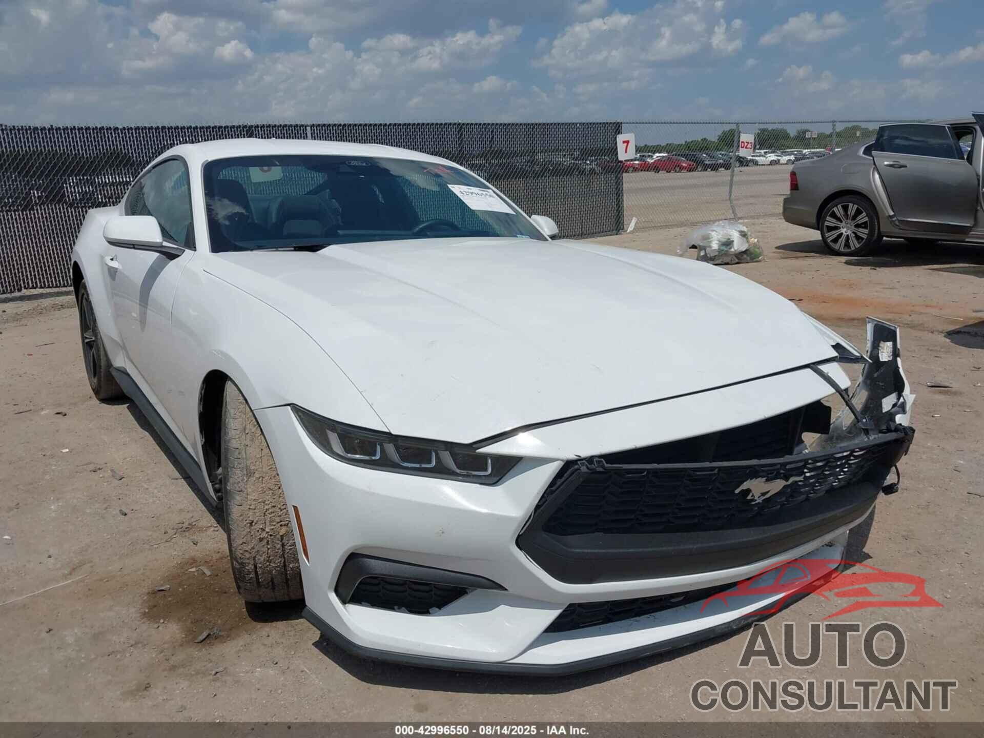 FORD MUSTANG 2024 - 1FA6P8TH4R5106804