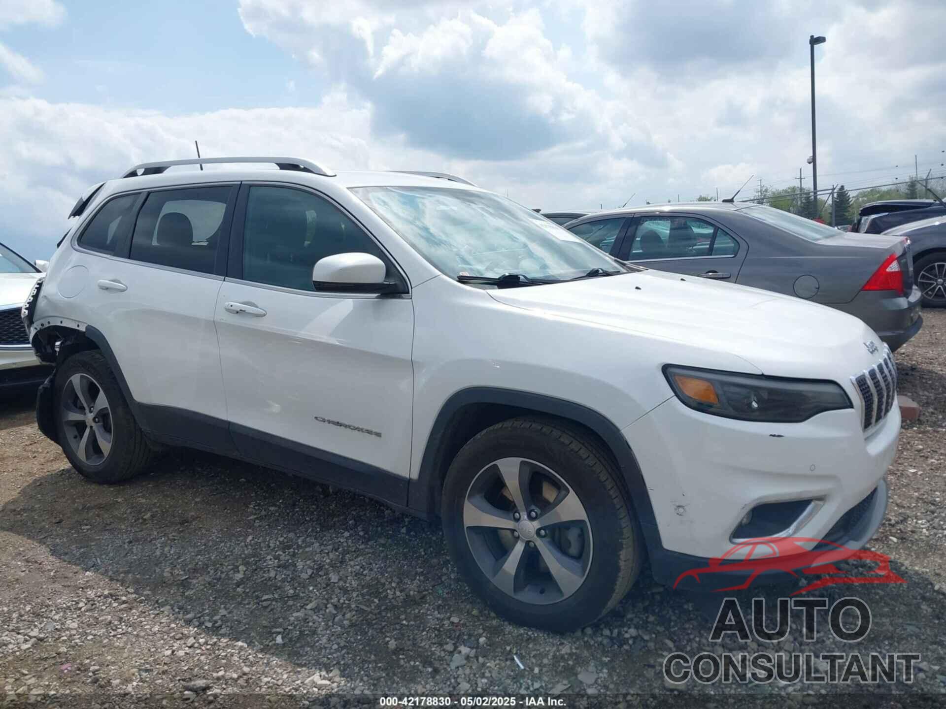 JEEP CHEROKEE 2019 - 1C4PJMDN9KD180308