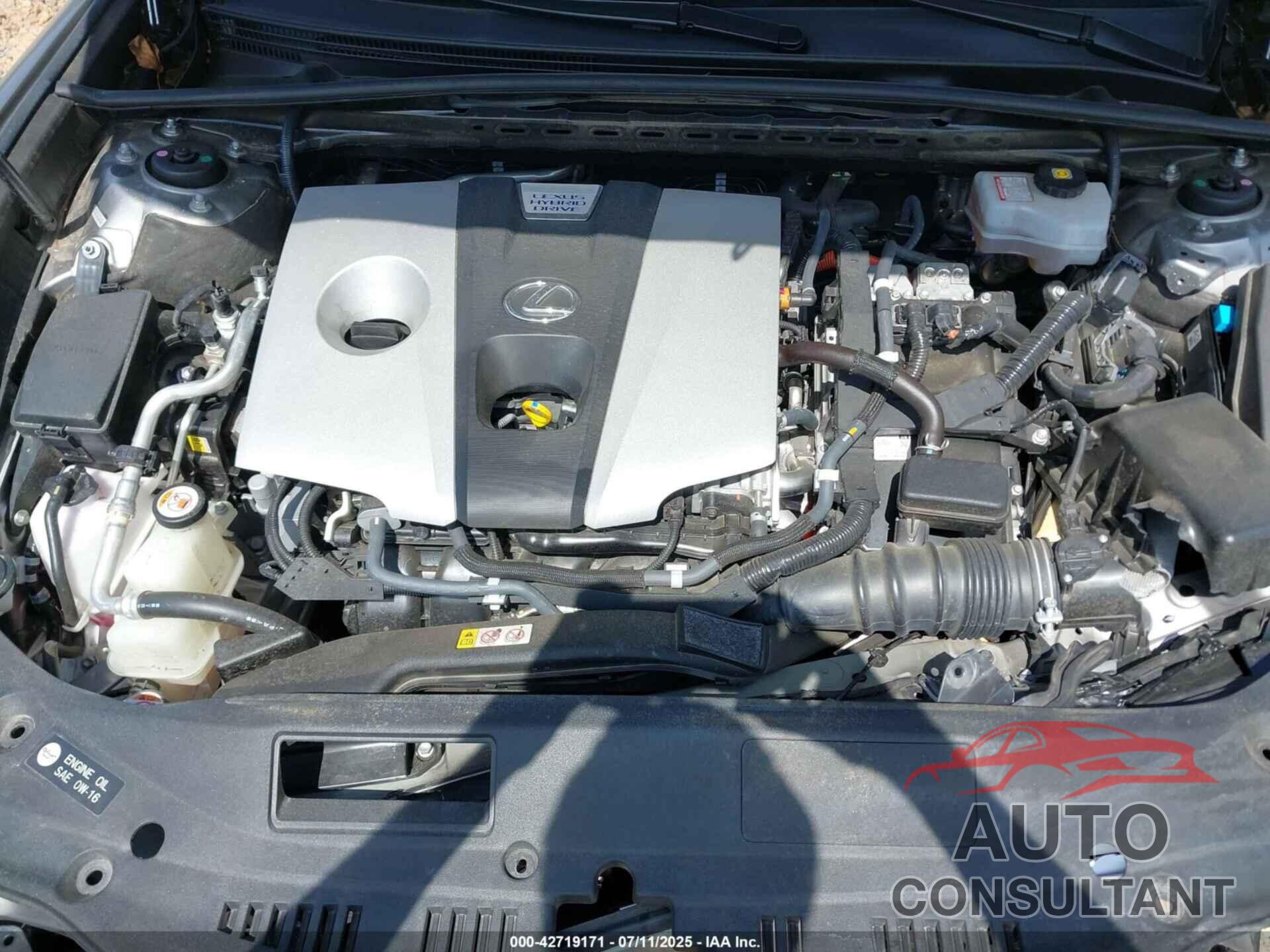 LEXUS ES 300H 2019 - JTHB21B17K2051760
