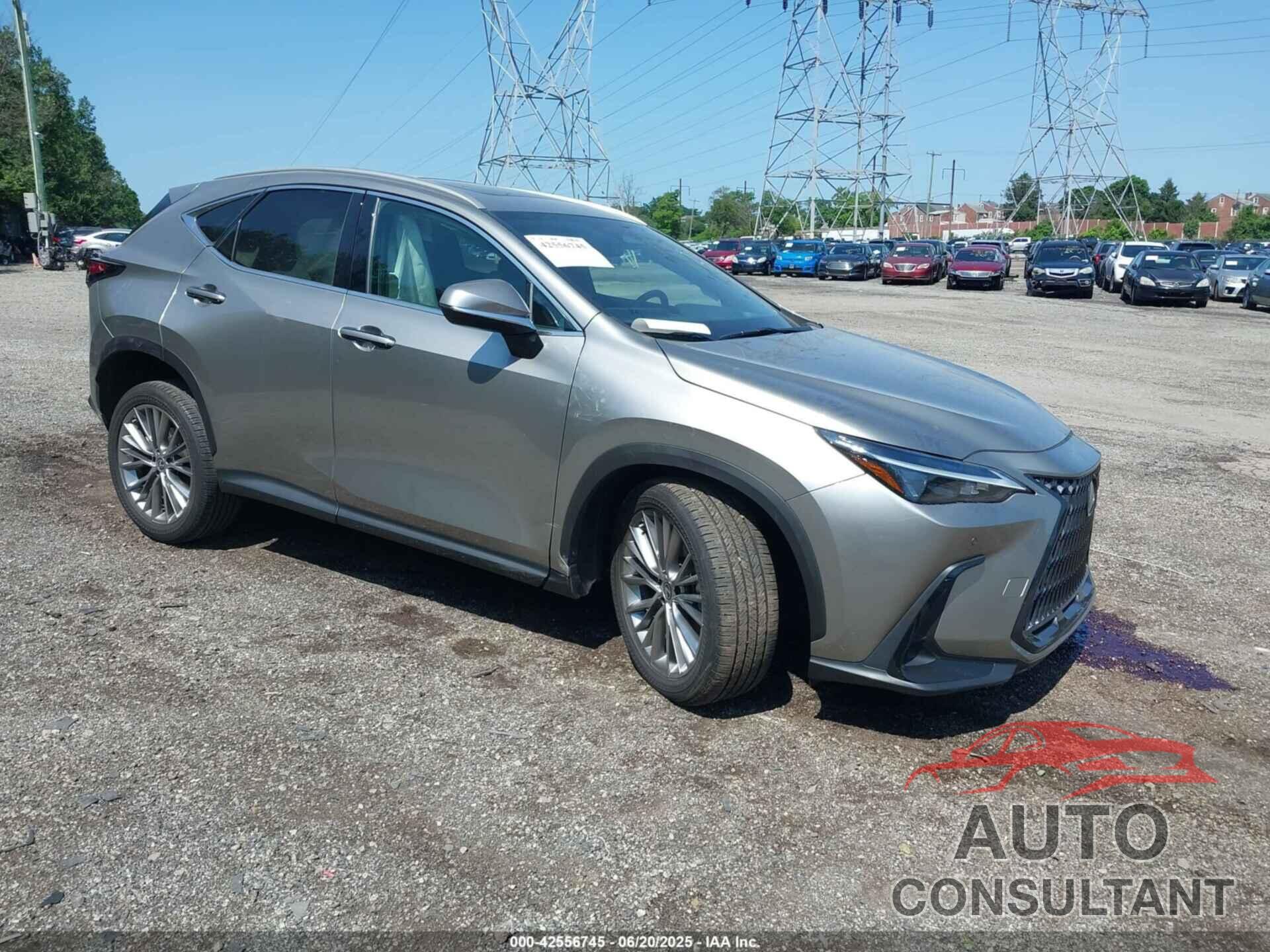 LEXUS NX 350H 2022 - 2T2GKCEZXNC007760
