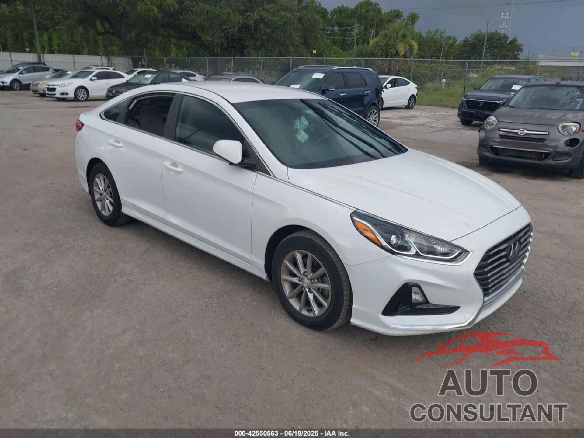 HYUNDAI SONATA 2019 - 5NPE24AF2KH760592