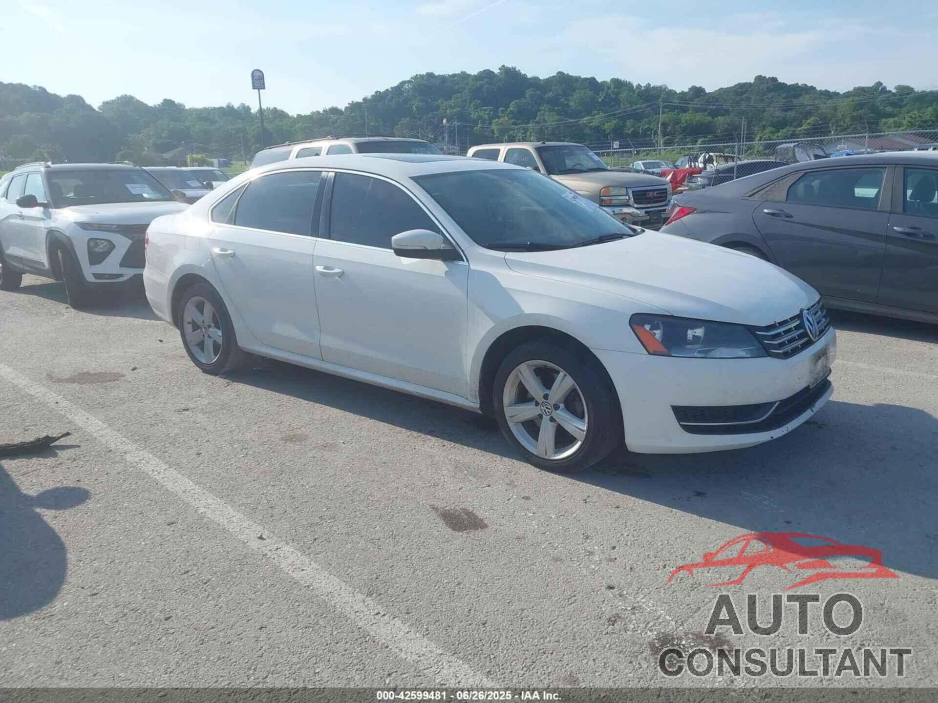 VOLKSWAGEN PASSAT 2013 - 1VWBN7A34DC044306
