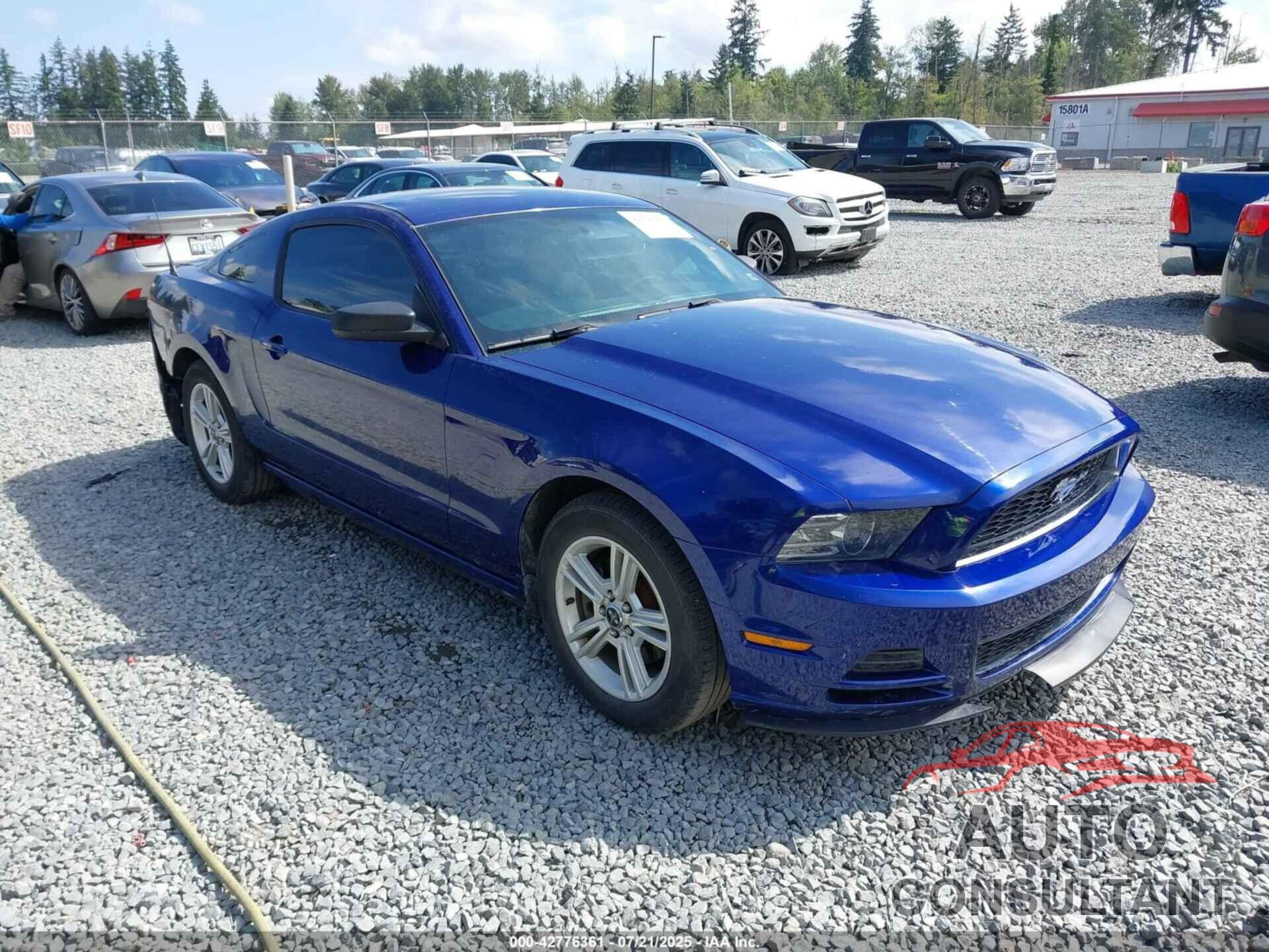 FORD MUSTANG 2014 - 1ZVBP8AM4E5278508