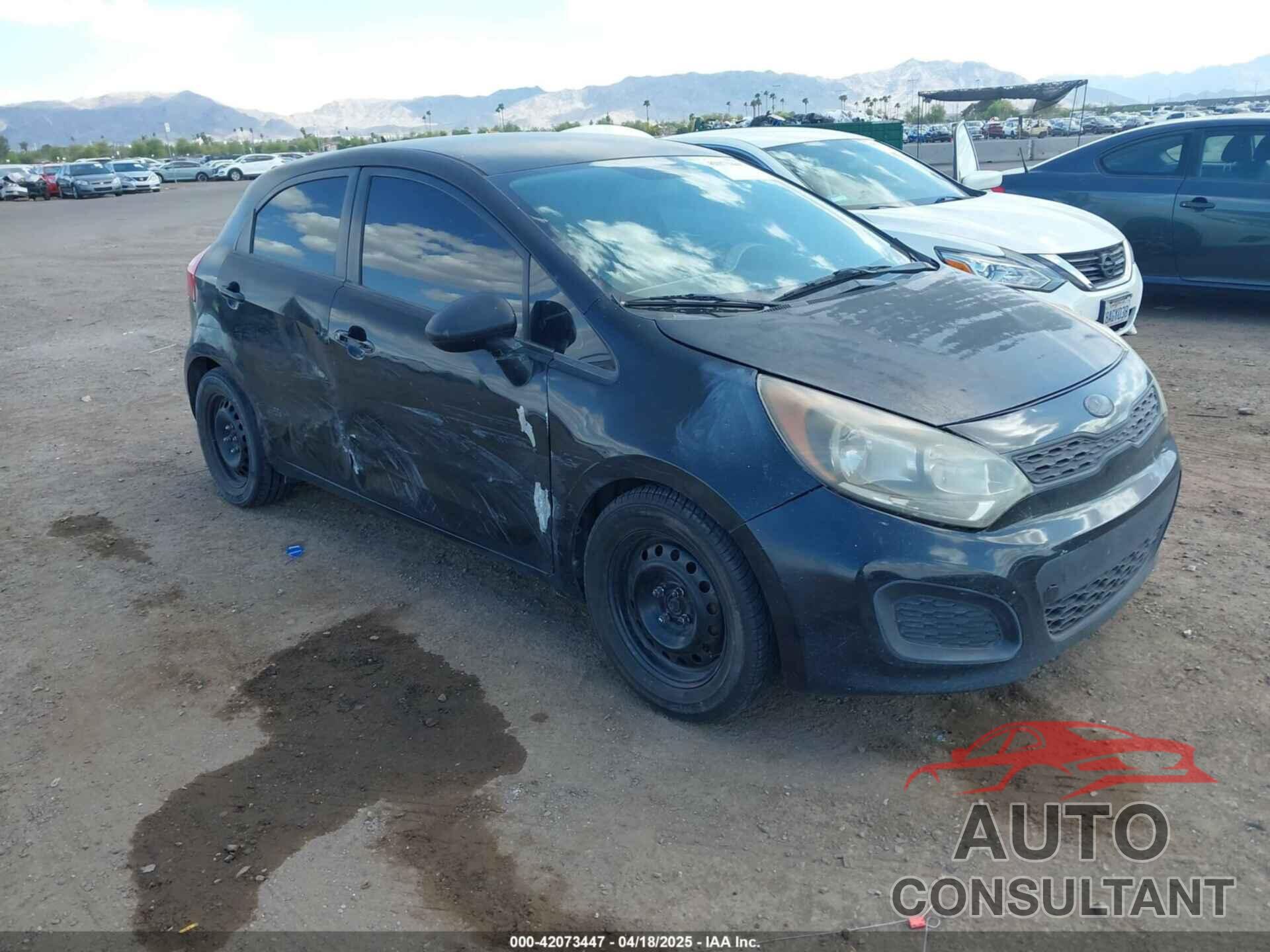 KIA RIO 2013 - KNADM5A36D6301061