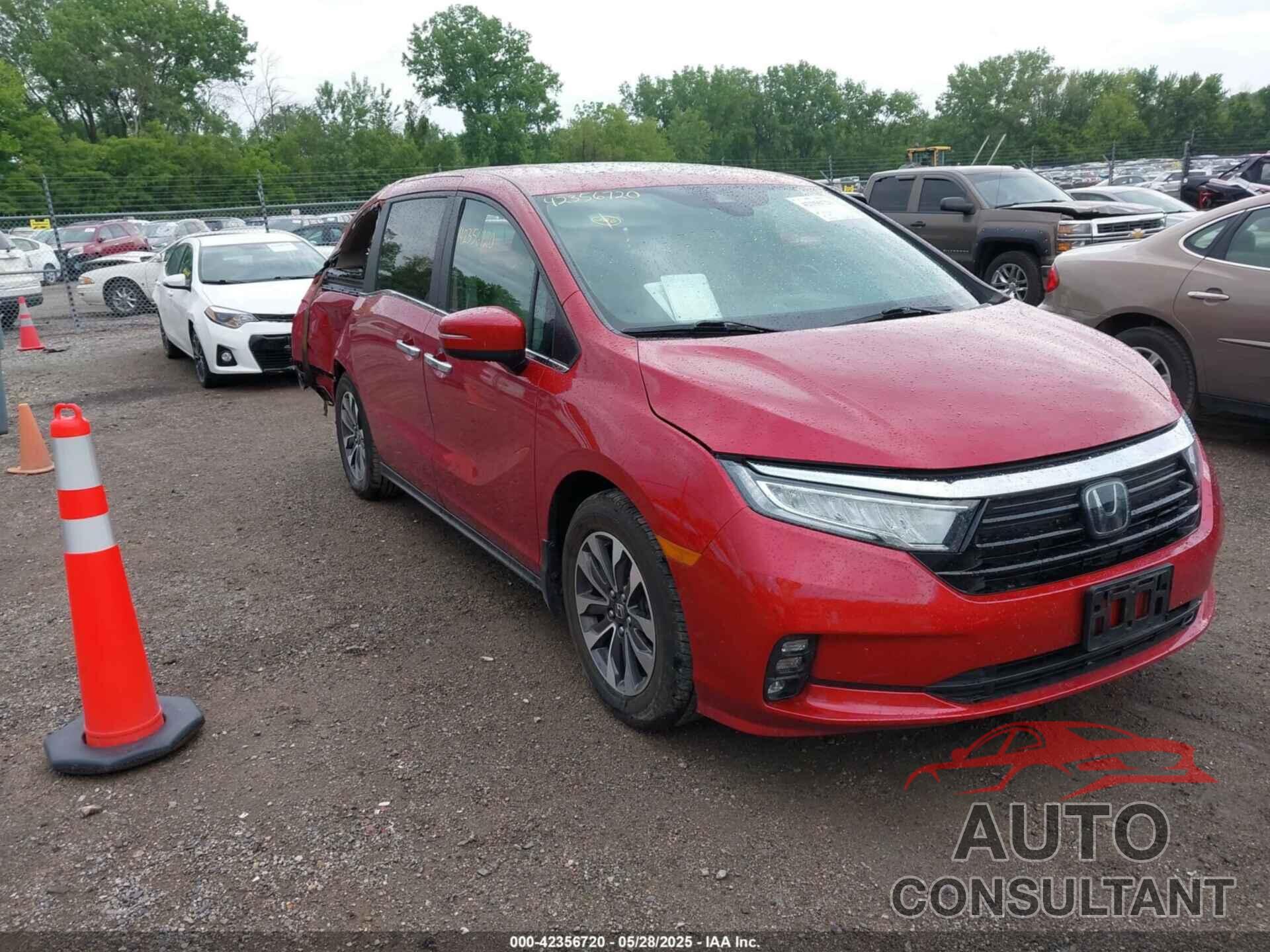 HONDA ODYSSEY 2023 - 5FNRL6H6XPB009830
