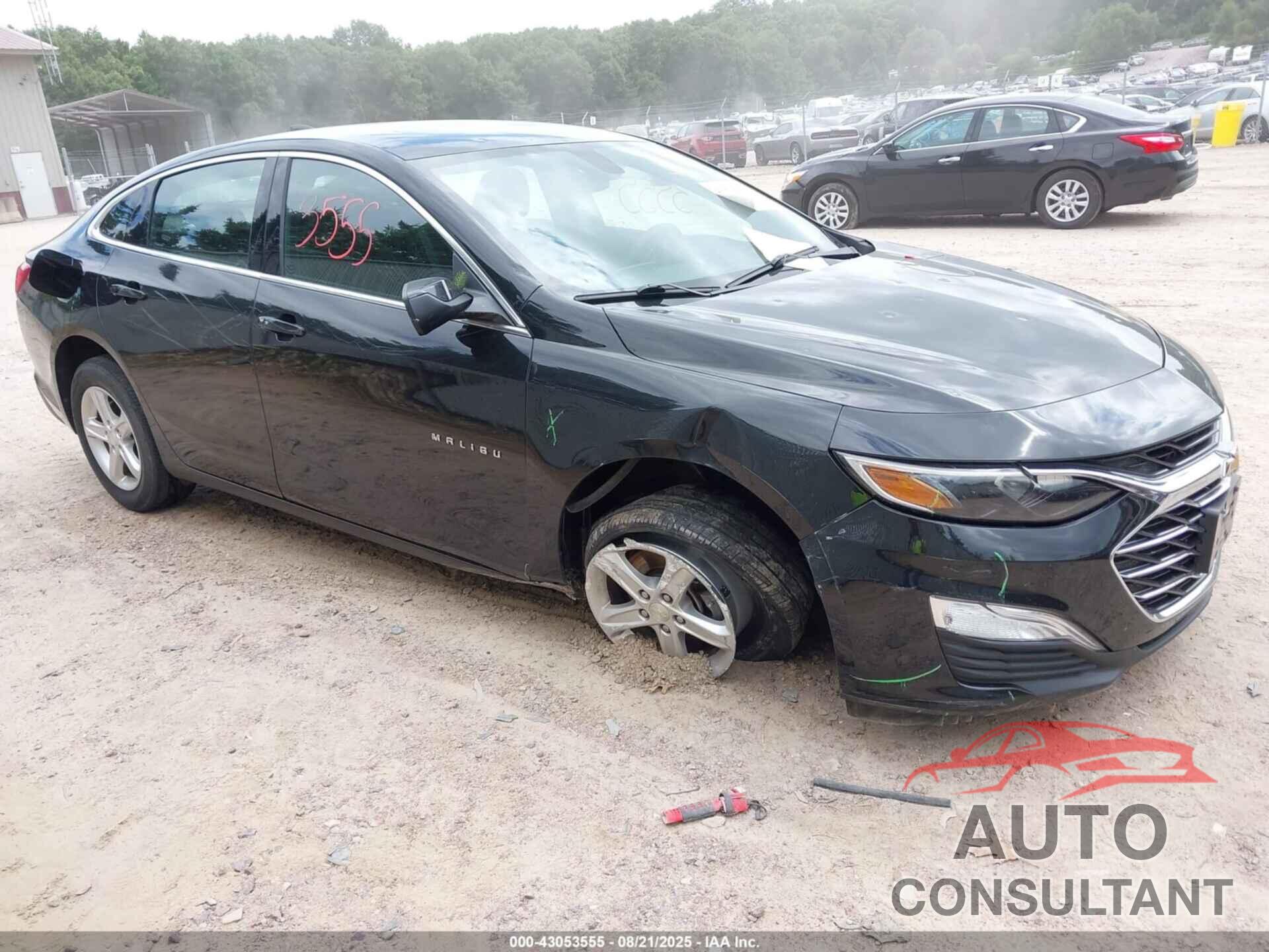 CHEVROLET MALIBU 2019 - 1G1ZC5ST1KF214040