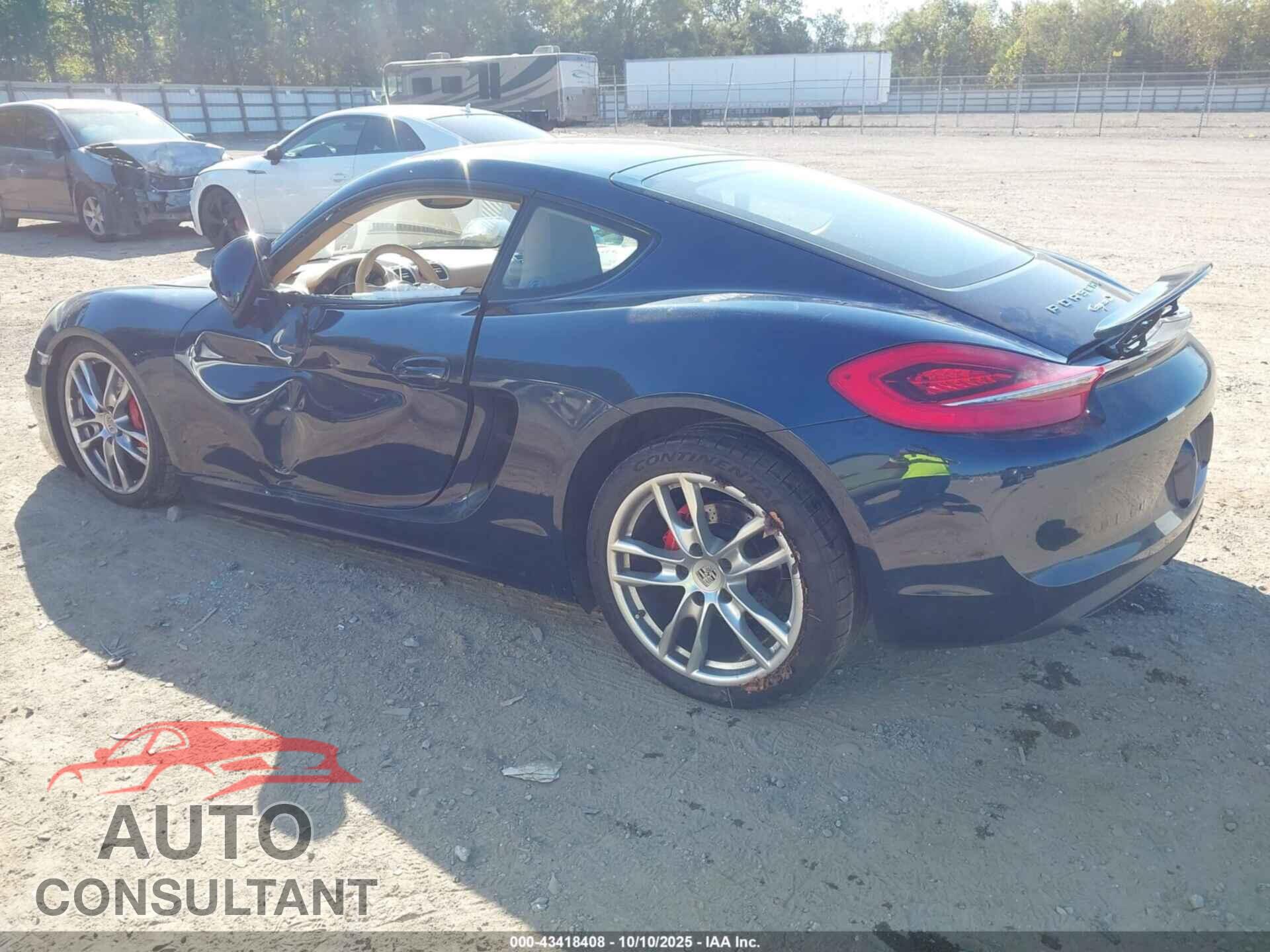 PORSCHE CAYMAN 2014 - WP0AB2A89EK190892