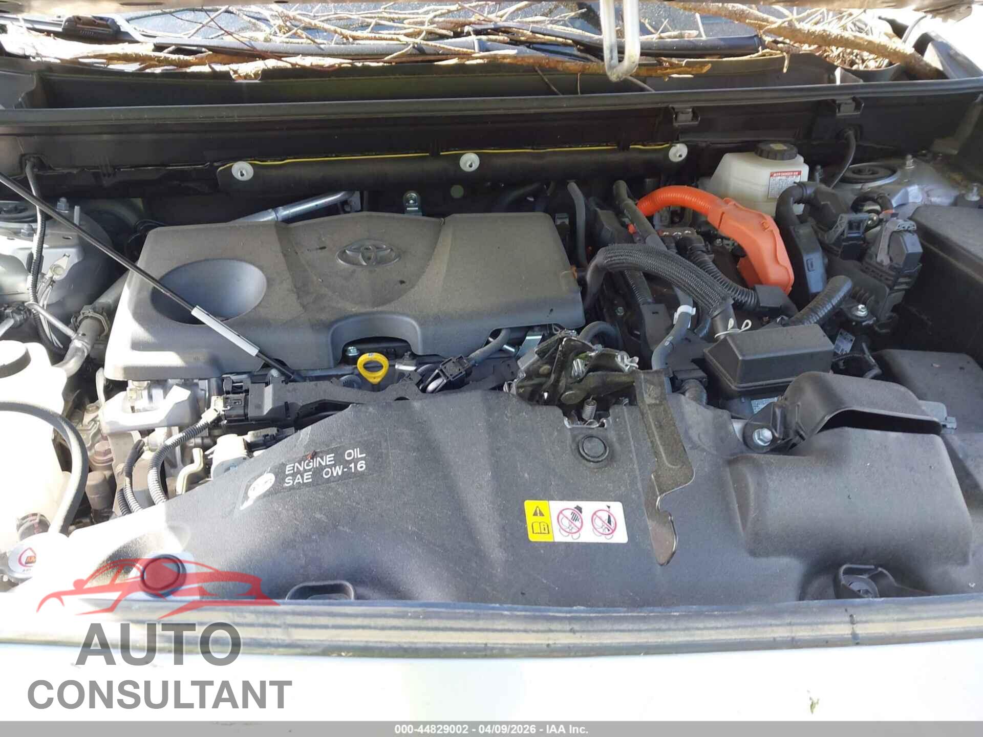 TOYOTA RAV4 HYBRID 2024 - JTM16RFV7RD131782
