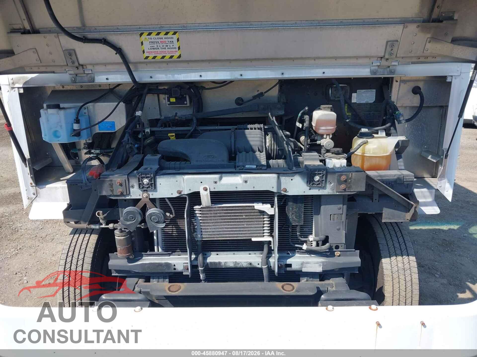 FORD E-450 STRIPPED 2016 - 1FC3E4KL4GDC18023