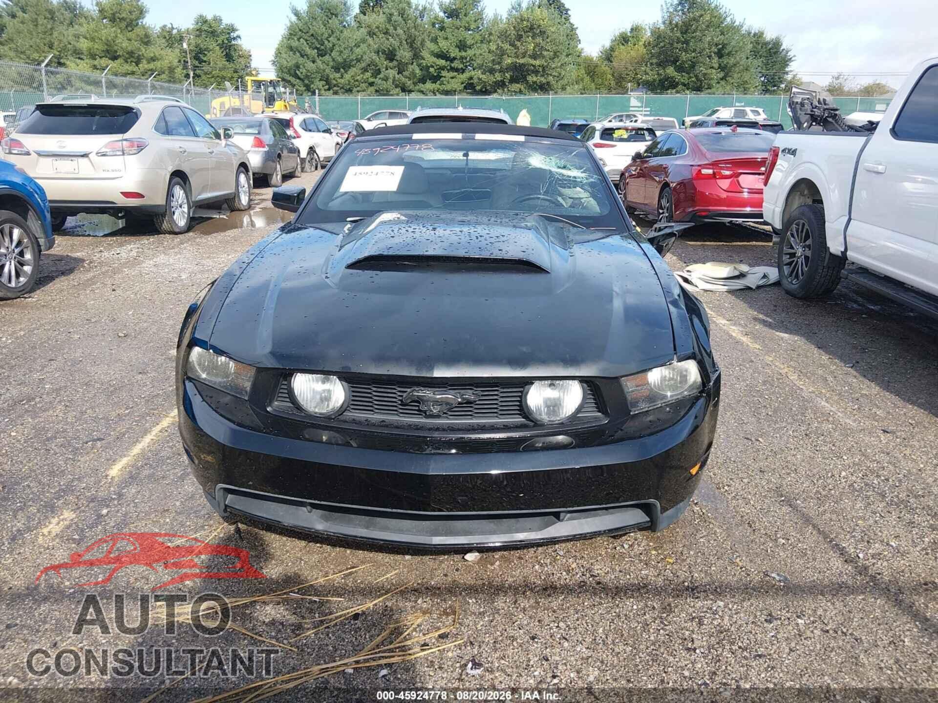 FORD MUSTANG 2011 - 1ZVBP8FF7B5124431