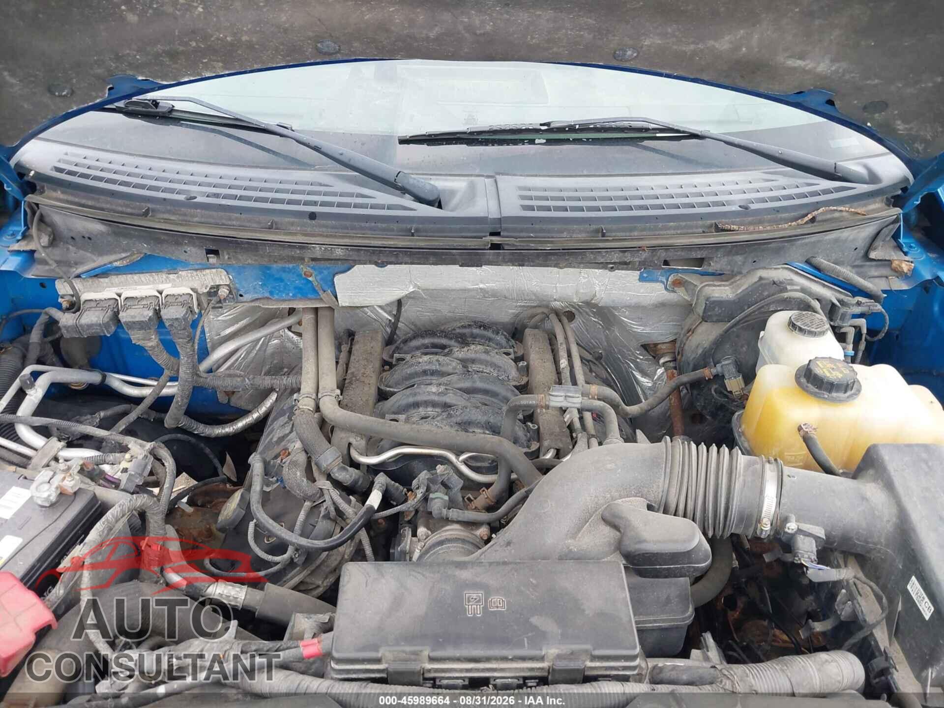 FORD F-150 2013 - 1FTFX1EF7DFD32383