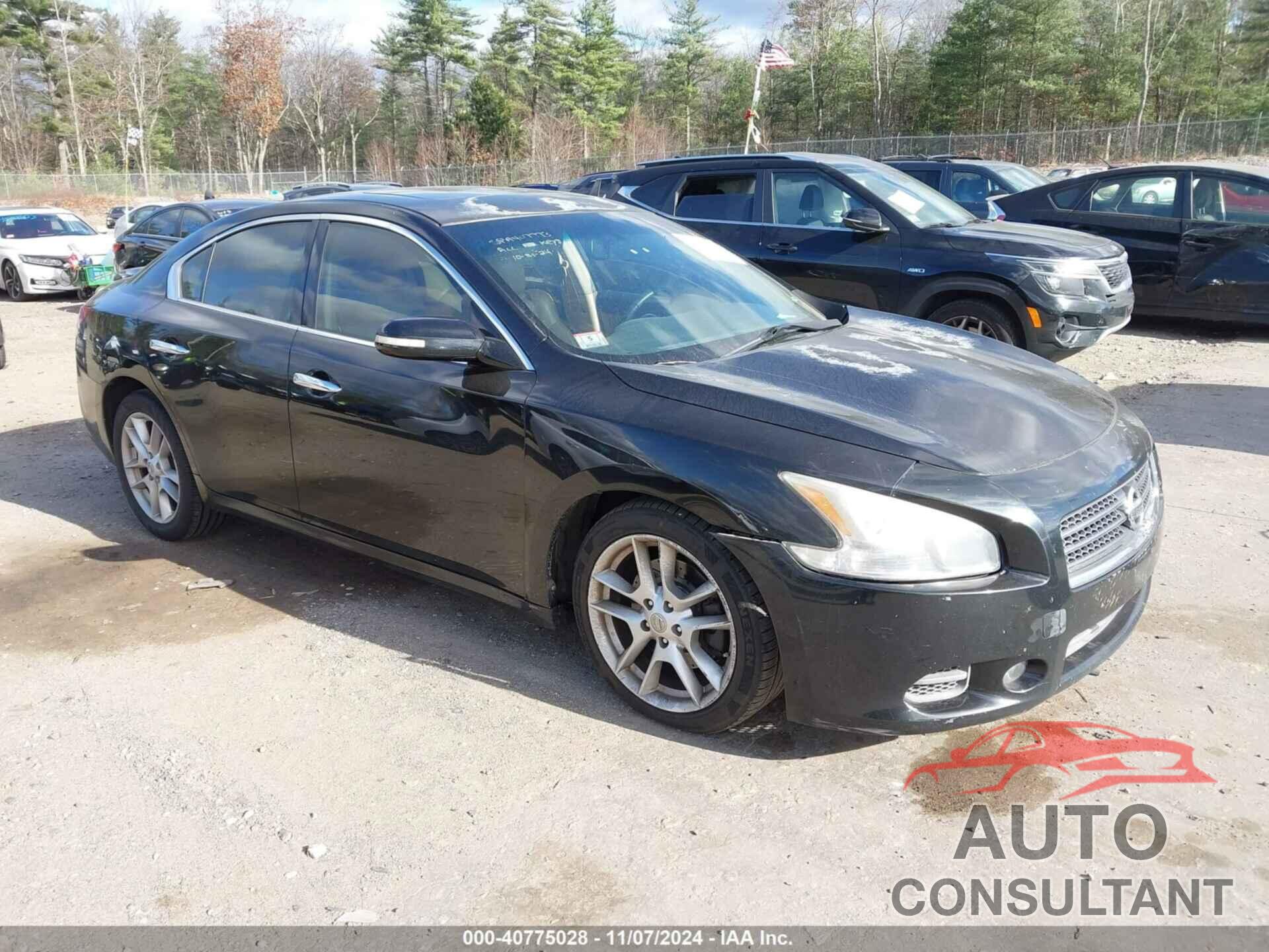 NISSAN MAXIMA 2009 - 1N4AA51E79C806427