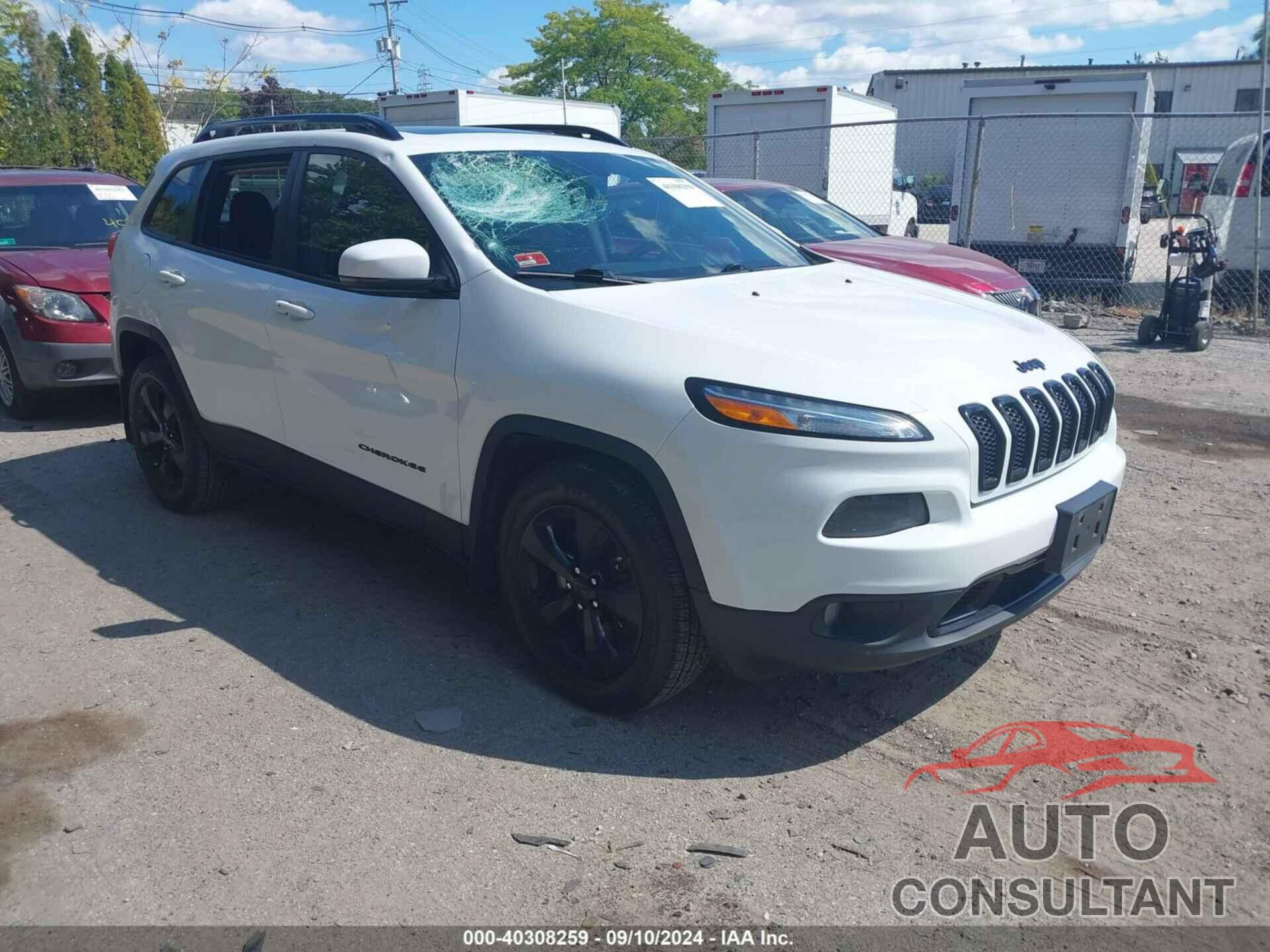 JEEP CHEROKEE 2016 - 1C4PJMDS9GW322111