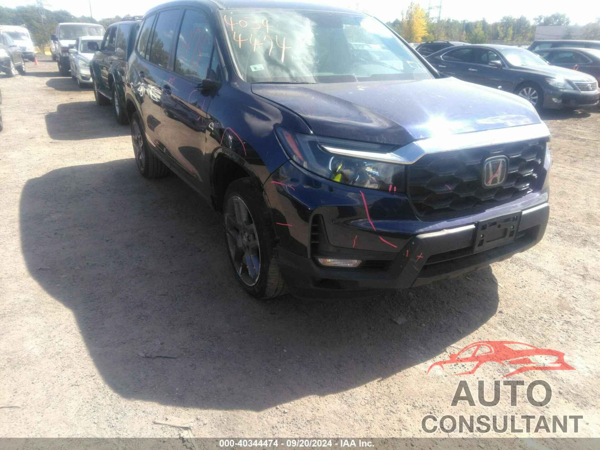 HONDA PASSPORT 2022 - 5FNYF8H50NB006065