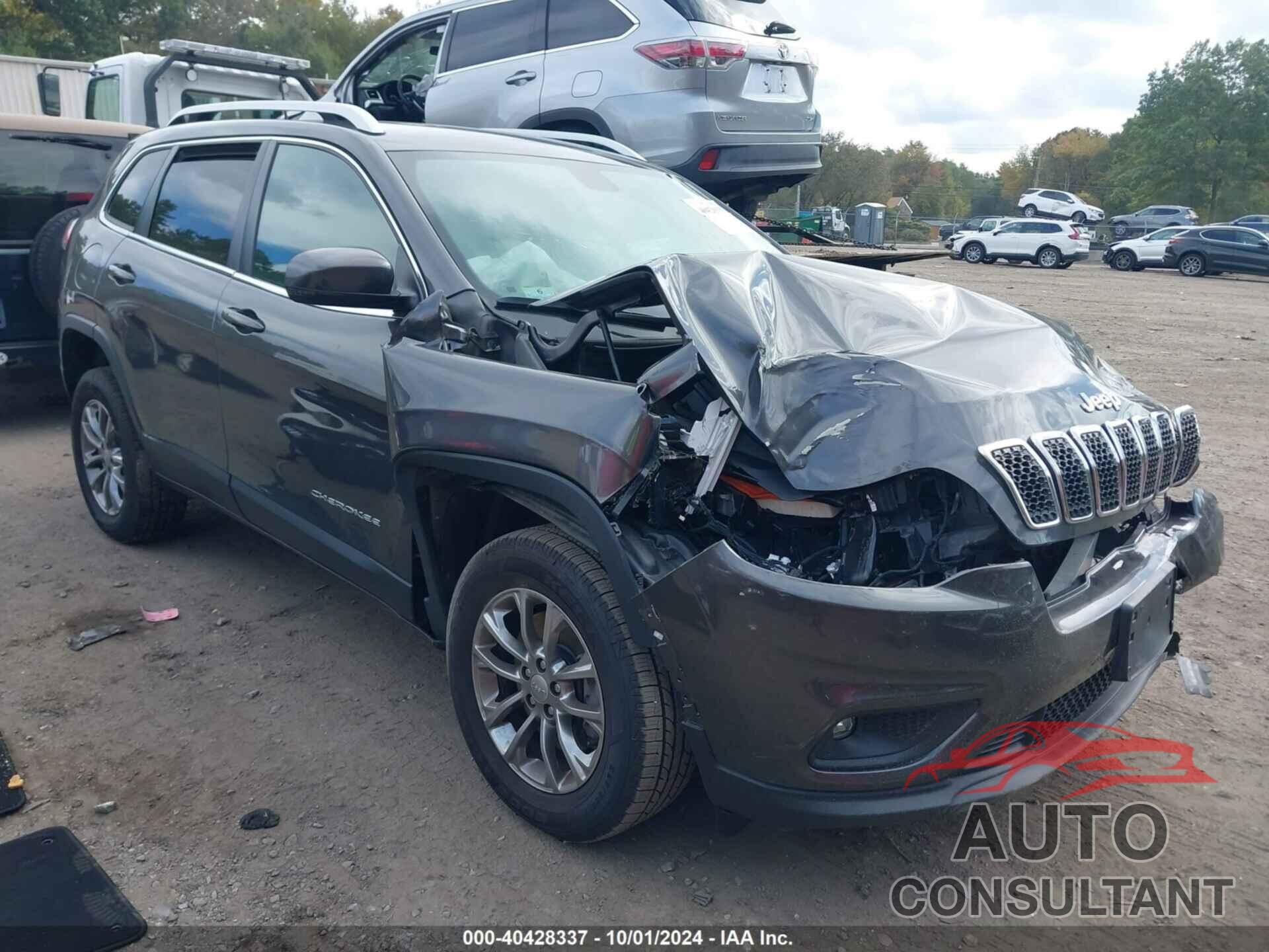 JEEP CHEROKEE 2020 - 1C4PJMLB2LD565654