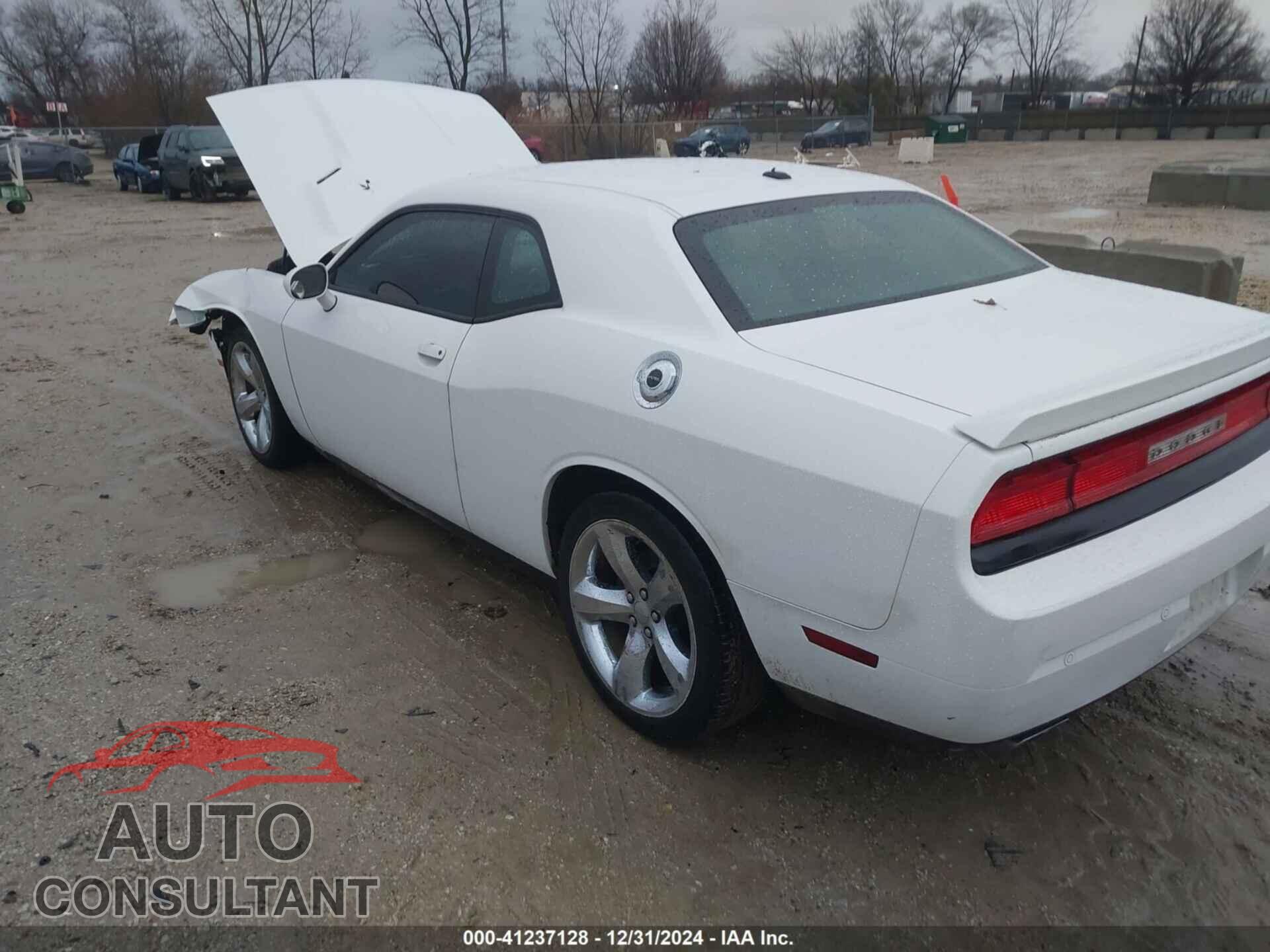 DODGE CHALLENGER 2013 - 2C3CDYAG3DH676556