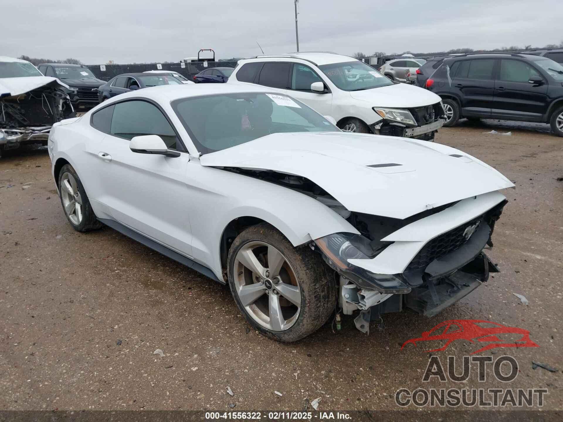 FORD MUSTANG 2019 - 1FA6P8TH6K5201919