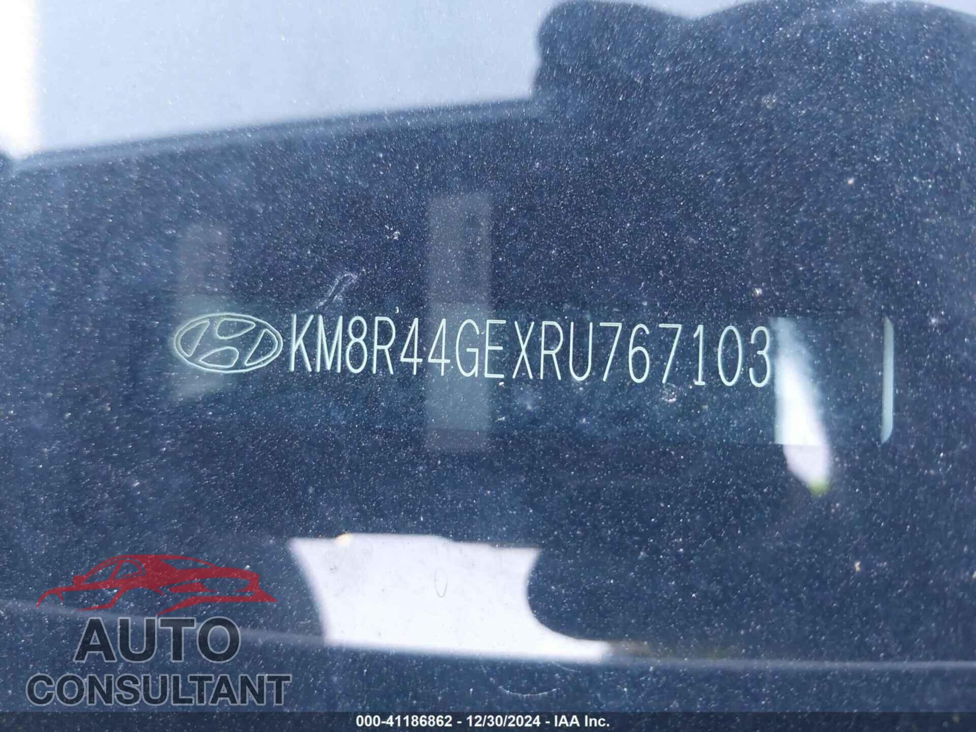 HYUNDAI PALISADE 2024 - KM8R44GEXRU767103