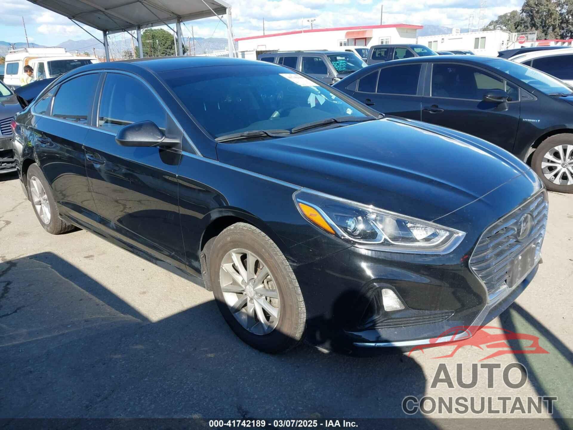 HYUNDAI SONATA 2019 - 5NPE24AF7KH820155