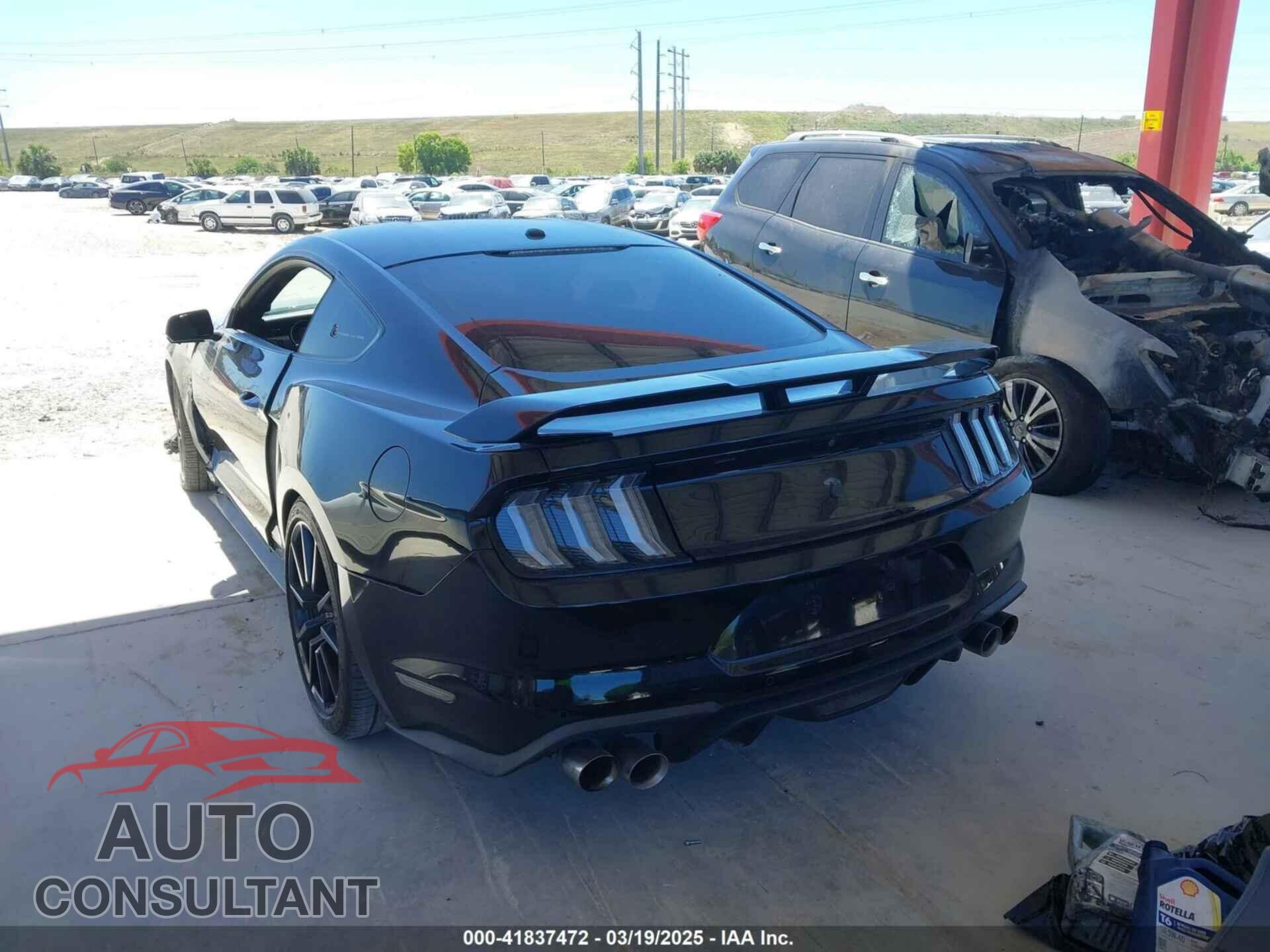 FORD MUSTANG 2019 - 1FA6P8CF4K5147017