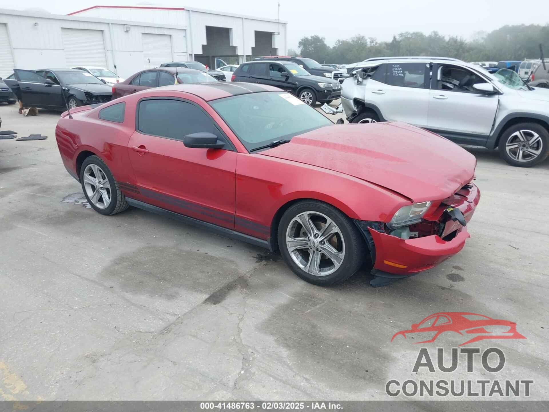 FORD MUSTANG 2010 - 1ZVBP8AN6A5176713