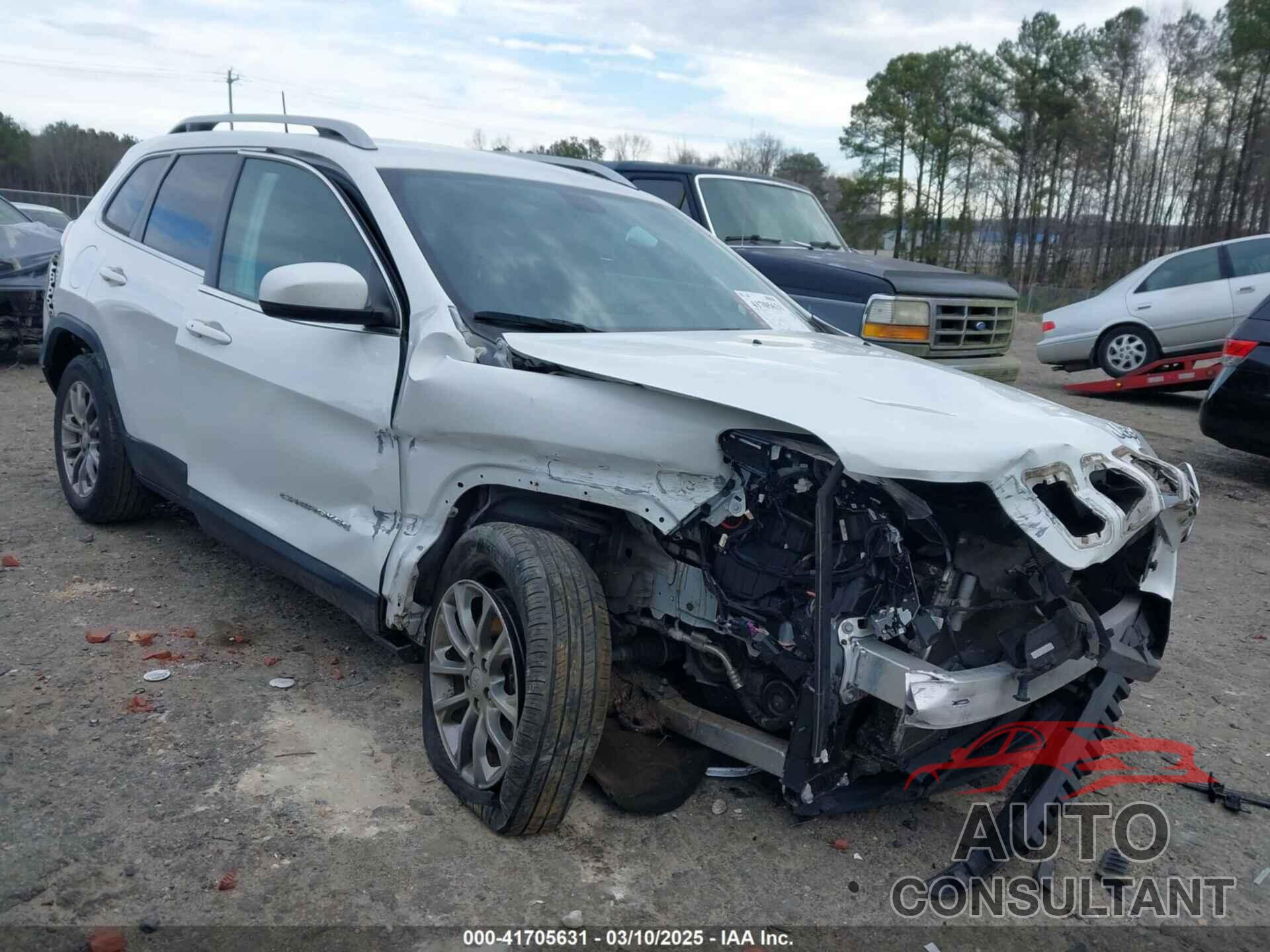 JEEP CHEROKEE 2019 - 1C4PJLLB1KD305402