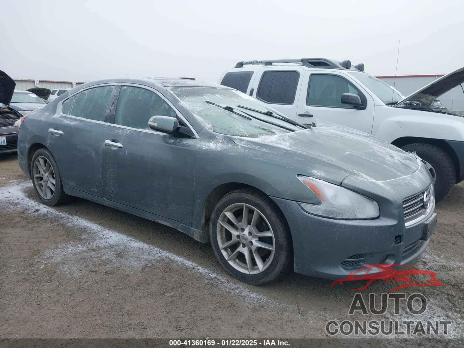 NISSAN MAXIMA 2009 - 1N4AA51E89C812656