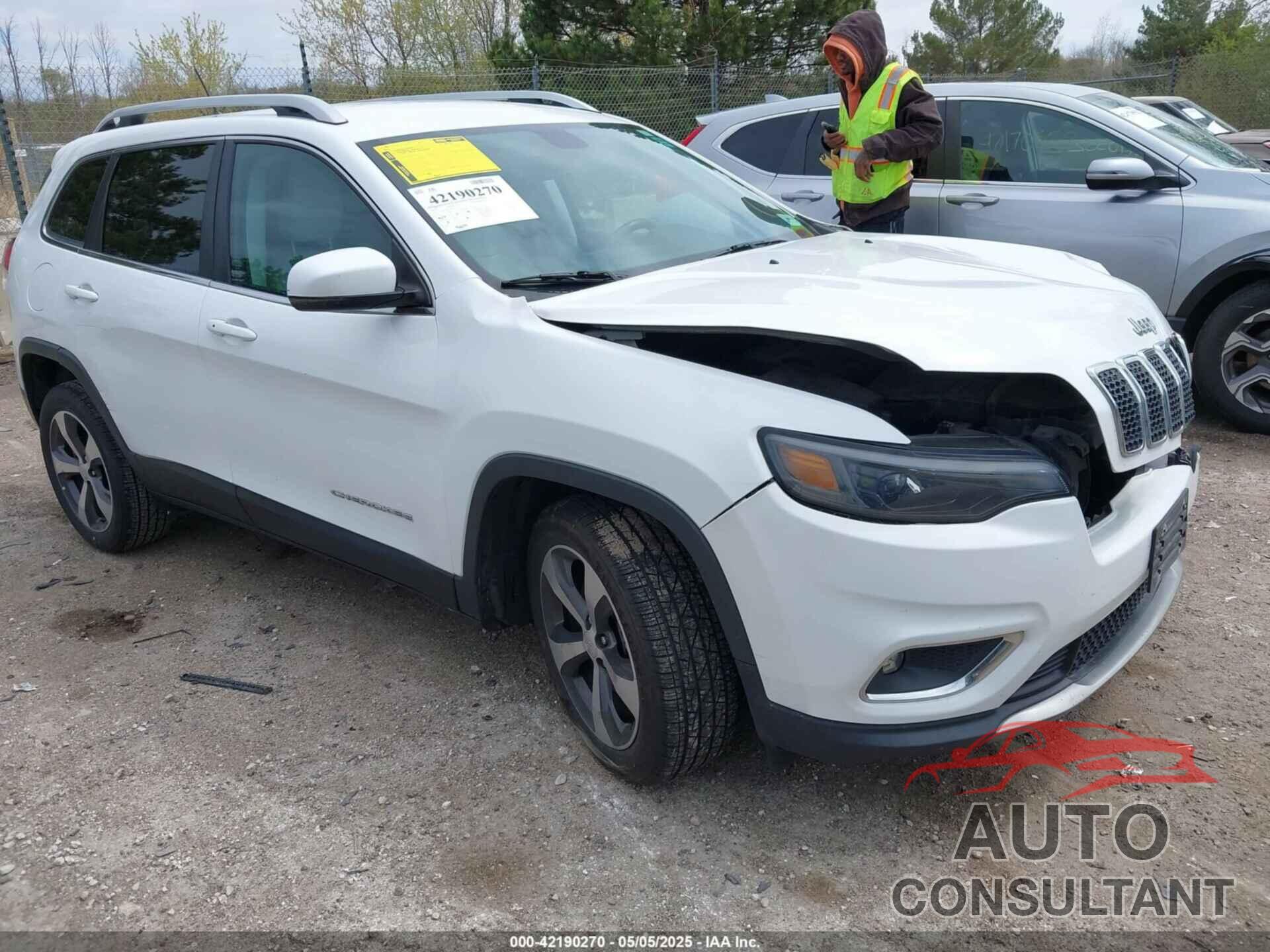JEEP CHEROKEE 2019 - 1C4PJLDB1KD387310