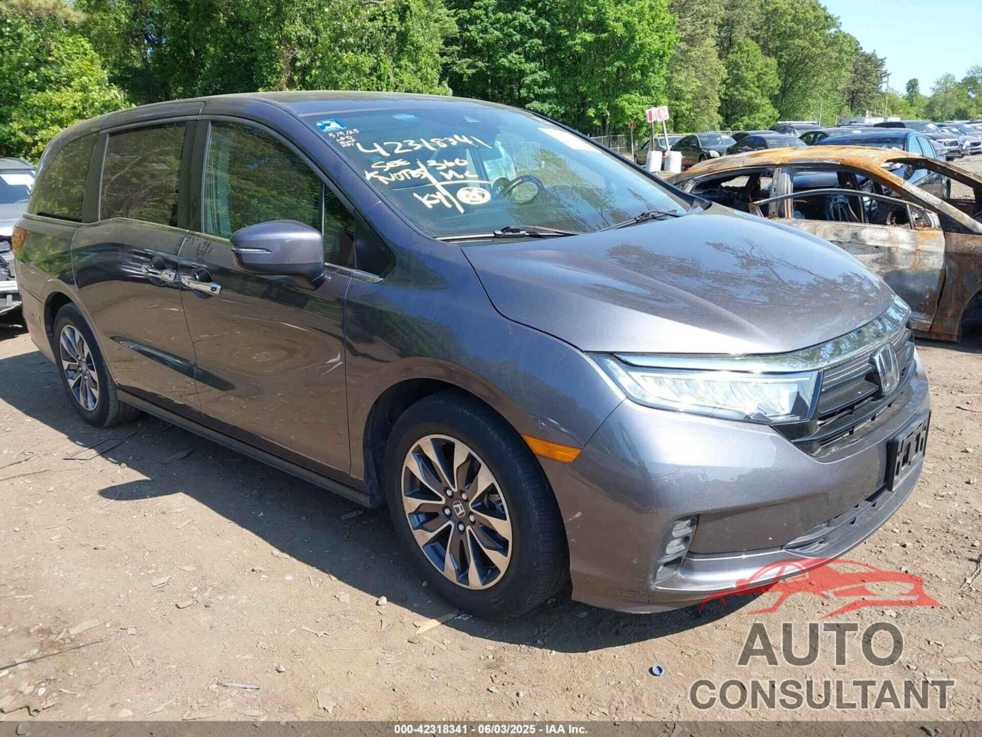 HONDA ODYSSEY 2021 - 5FNRL6H71MB019599