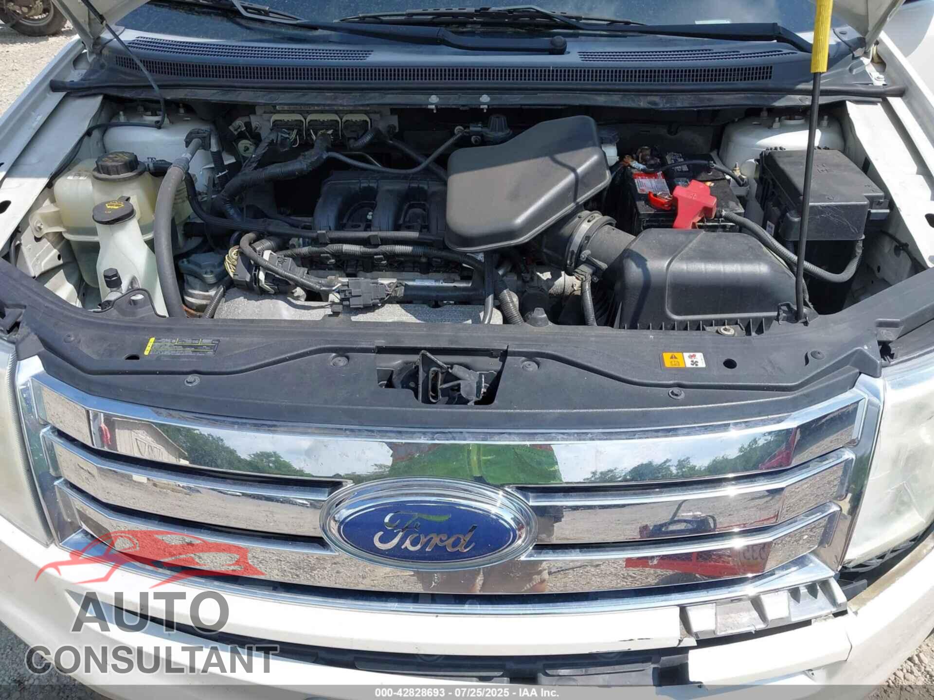 FORD EDGE 2010 - 2FMDK3JC1ABA96819