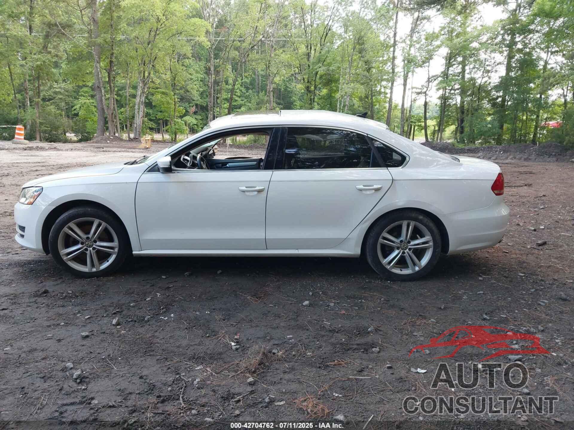 VOLKSWAGEN PASSAT 2014 - 1VWBN7A30EC112103