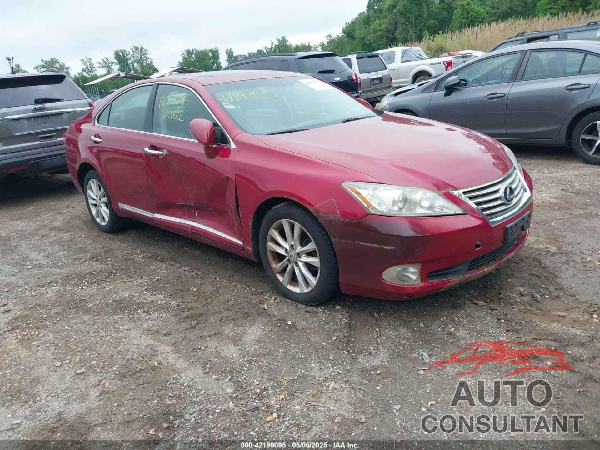 LEXUS ES 350 2010 - JTHBK1EGXA2411490