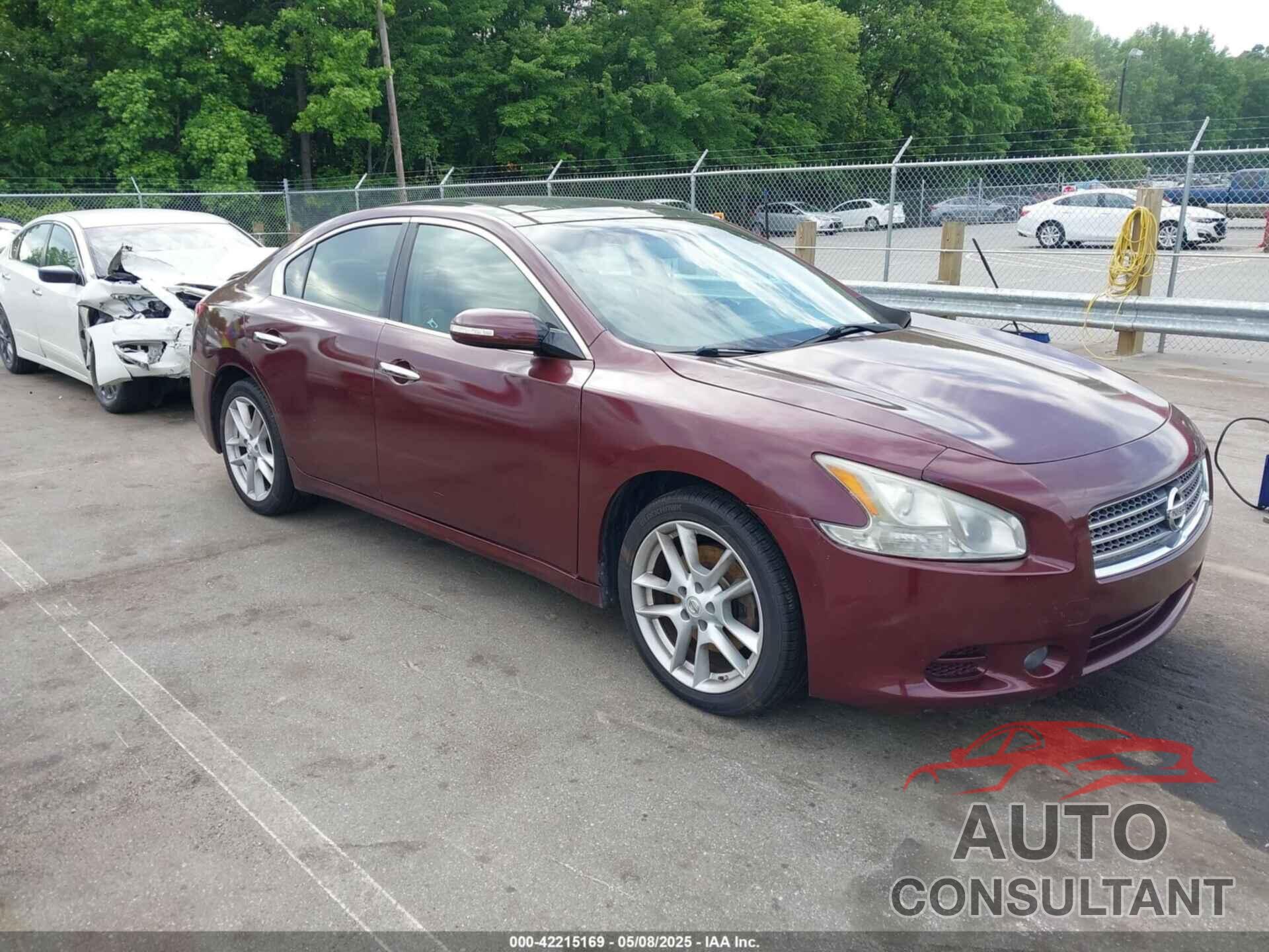 NISSAN MAXIMA 2010 - 1N4AA5AP3AC834134