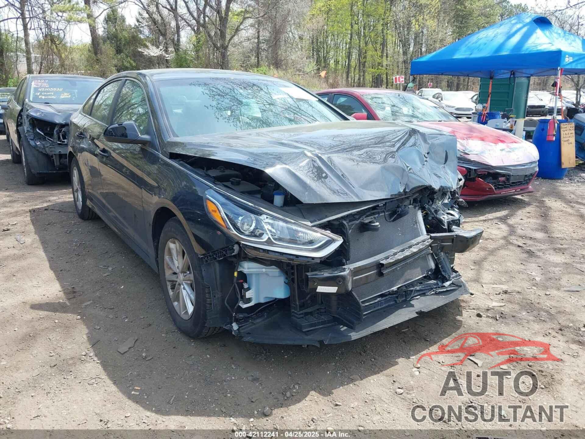 HYUNDAI SONATA 2019 - 5NPE24AF3KH819181