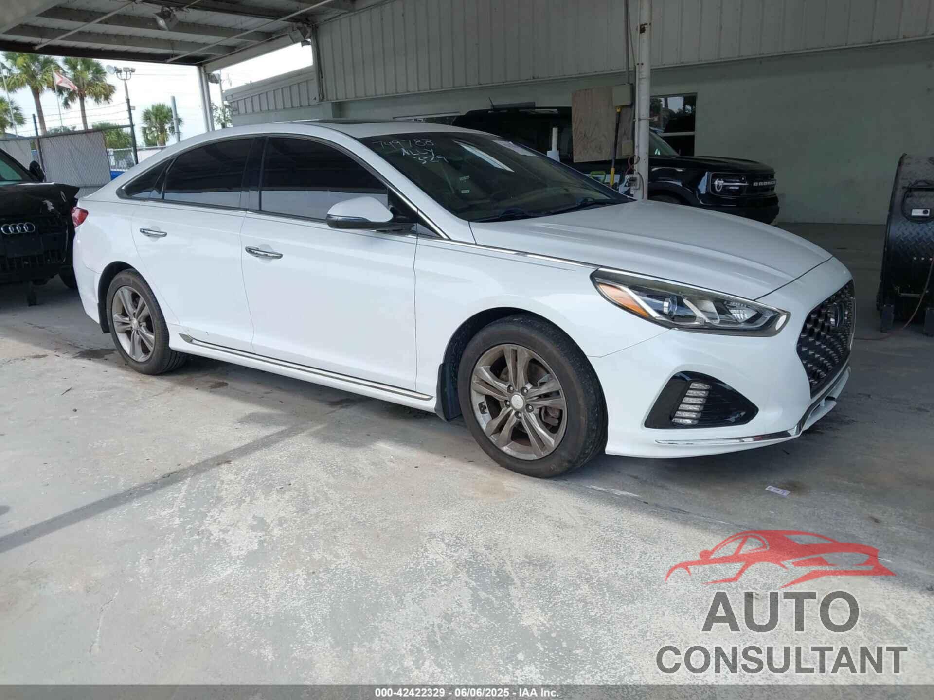 HYUNDAI SONATA 2019 - 5NPE34AF1KH749788