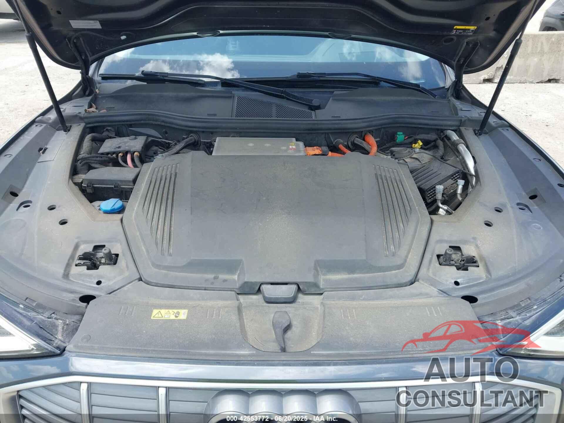 AUDI E-TRON 2019 - WA1VAAGE1KB025145