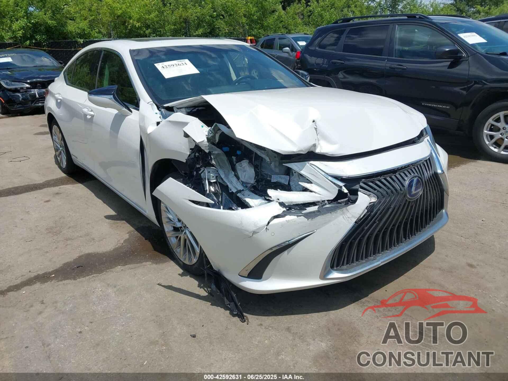 LEXUS ES 300H 2021 - 58AEA1C15MU002634