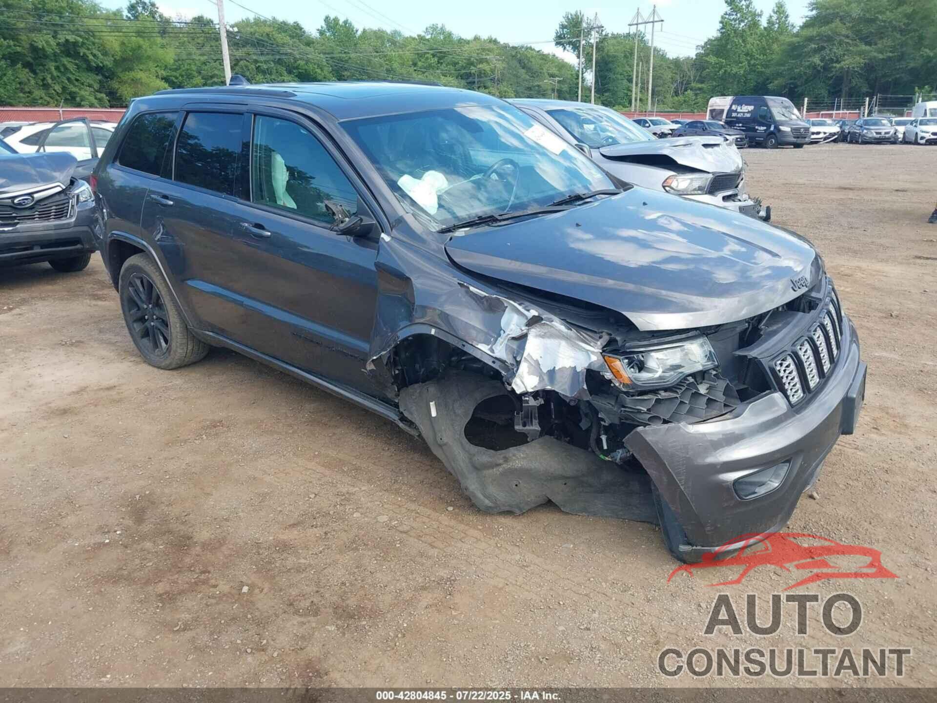 JEEP GRAND CHEROKEE 2019 - 1C4RJFAGXKC625851