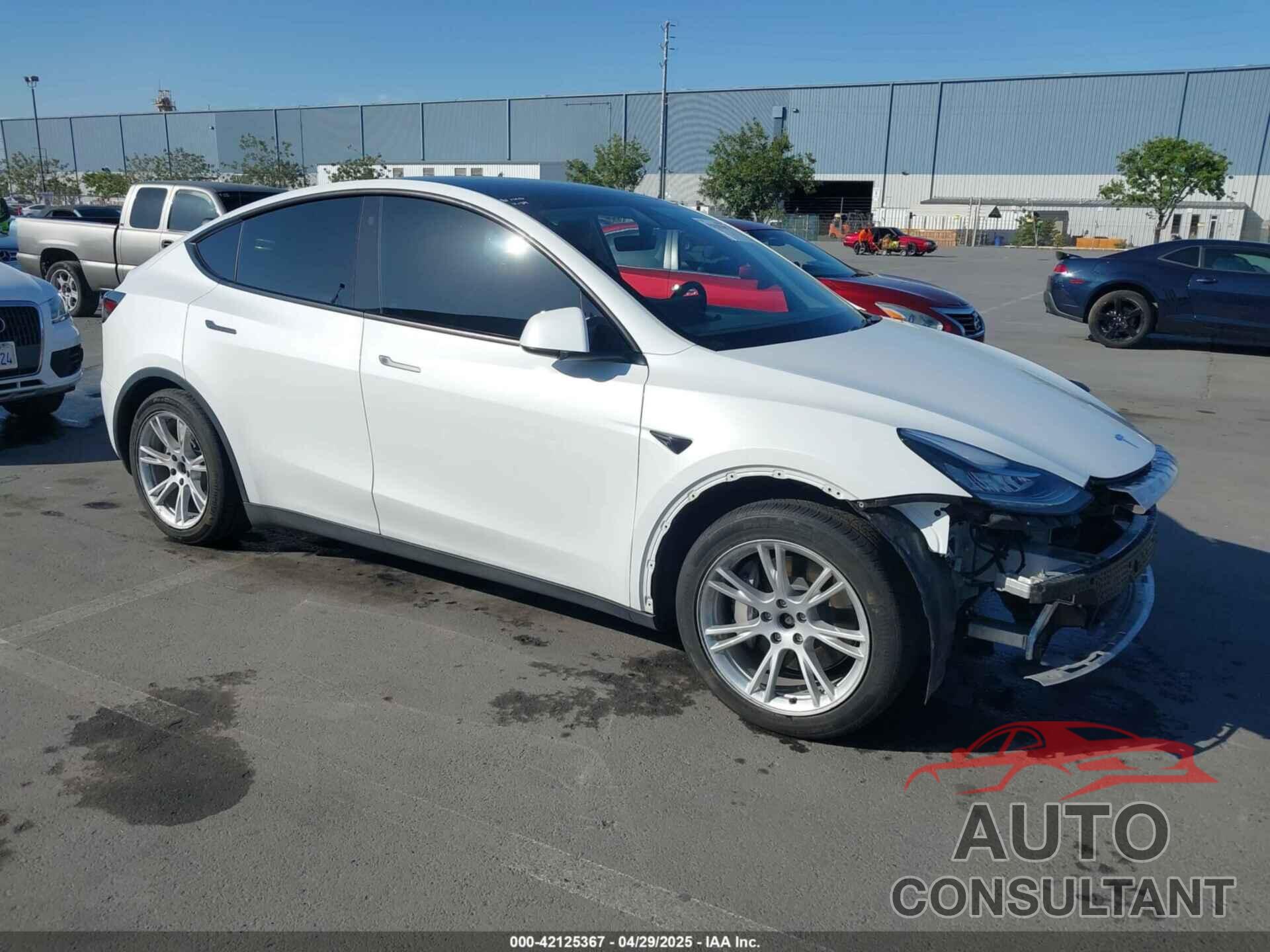 TESLA MODEL Y 2021 - 5YJYGAEE6MF281799