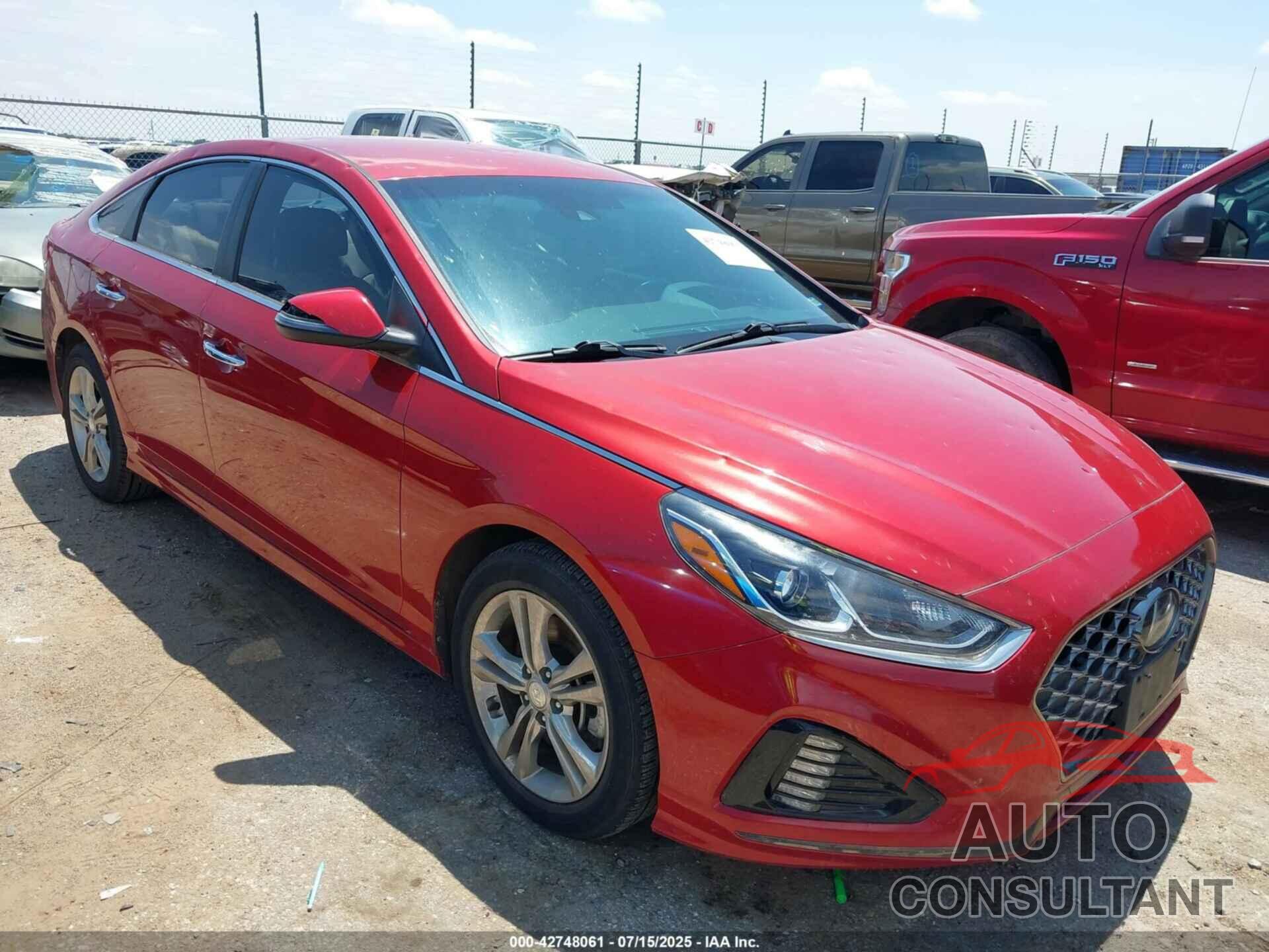 HYUNDAI SONATA 2019 - 5NPE34AF2KH741330