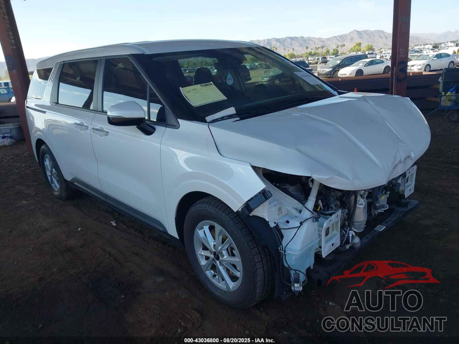 KIA CARNIVAL MPV 2024 - KNDNB4H39R6434563
