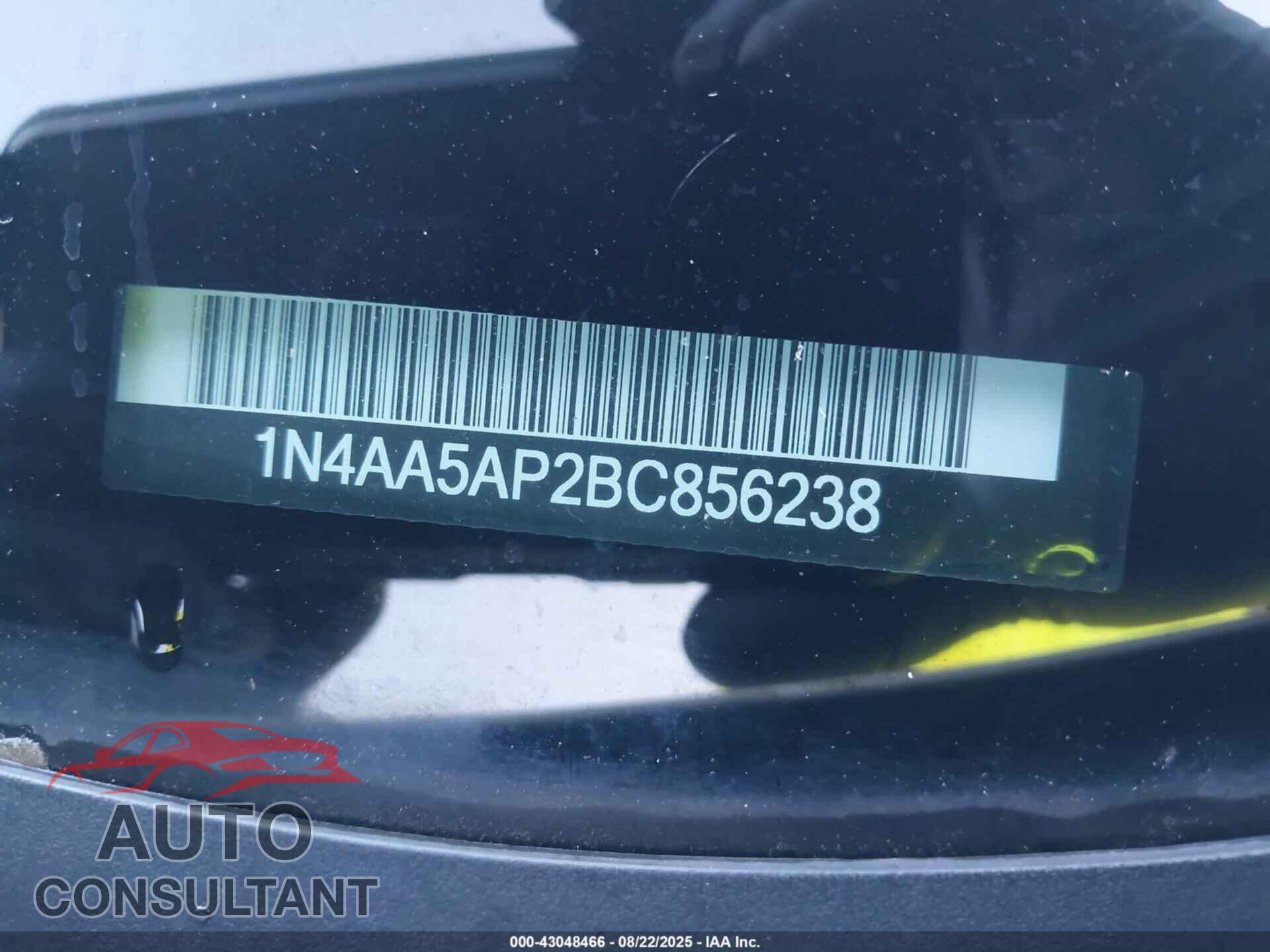 NISSAN MAXIMA 2011 - 1N4AA5AP2BC856238