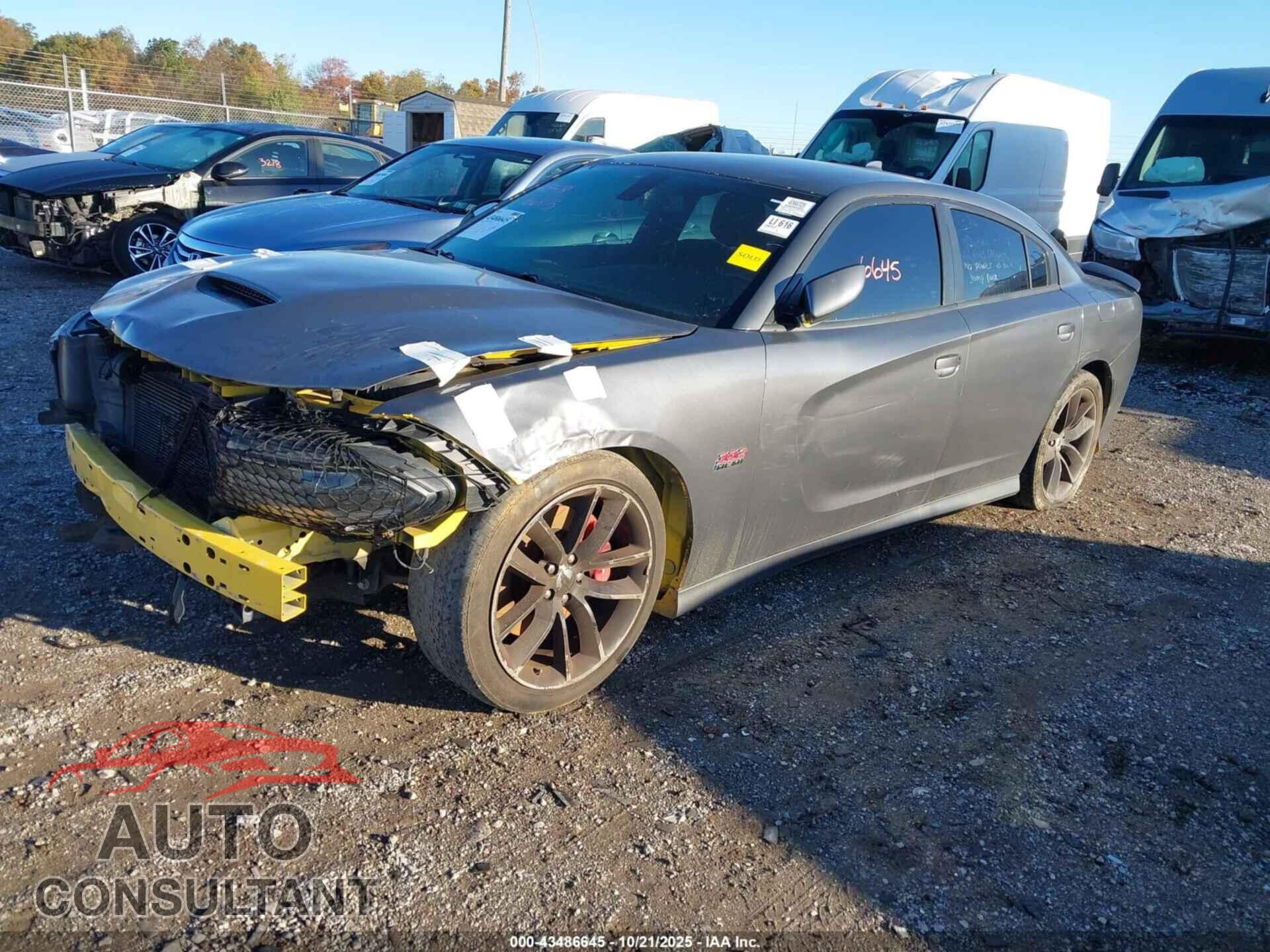 DODGE CHARGER 2017 - 2C3CDXGJ1HH551669