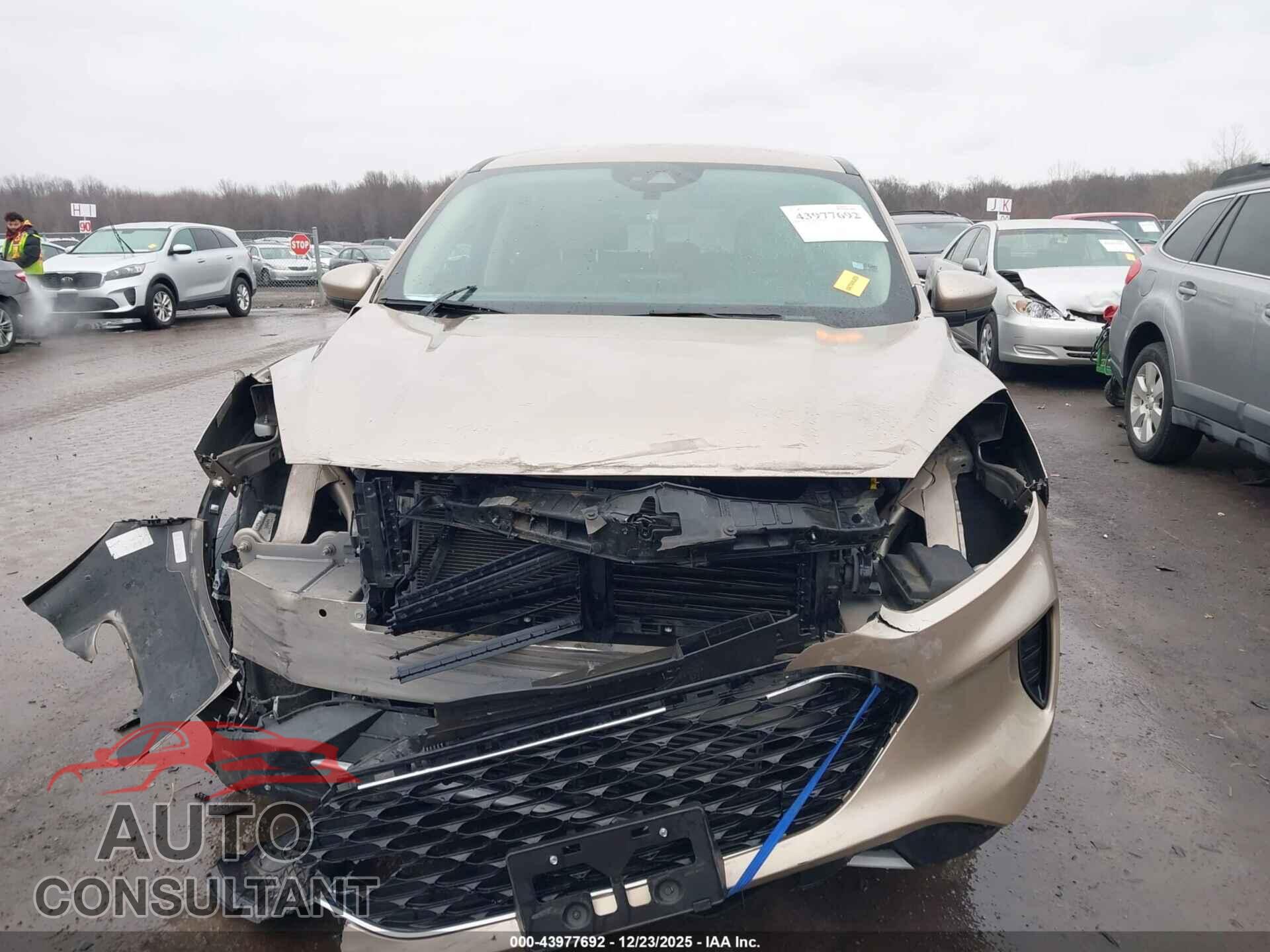 FORD ESCAPE 2020 - 1FMCU9G64LUA44480