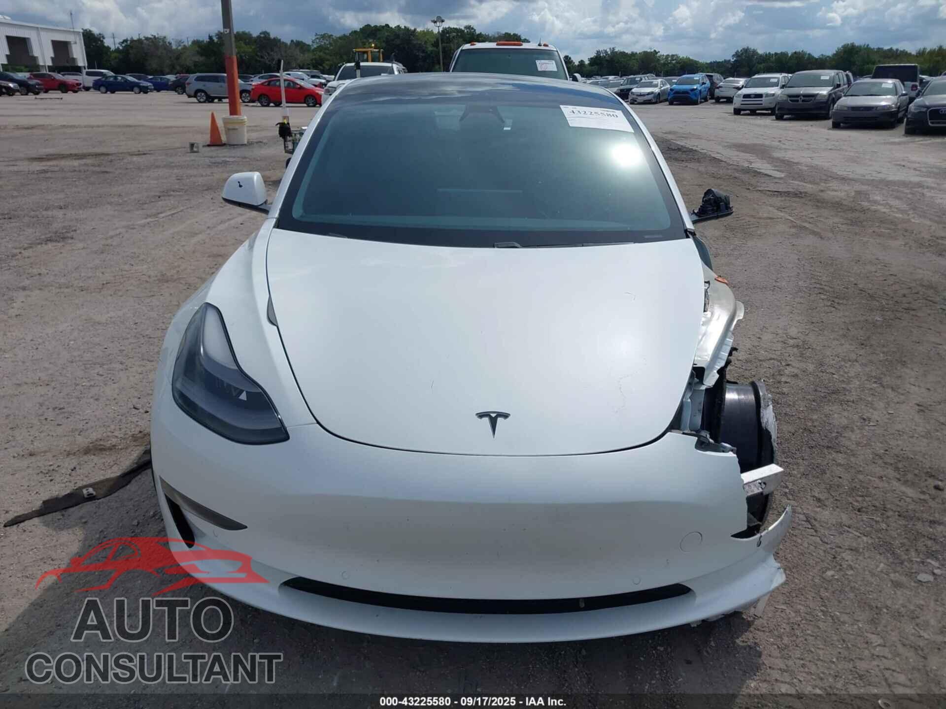 TESLA MODEL 3 2021 - 5YJ3E1EA1MF992100