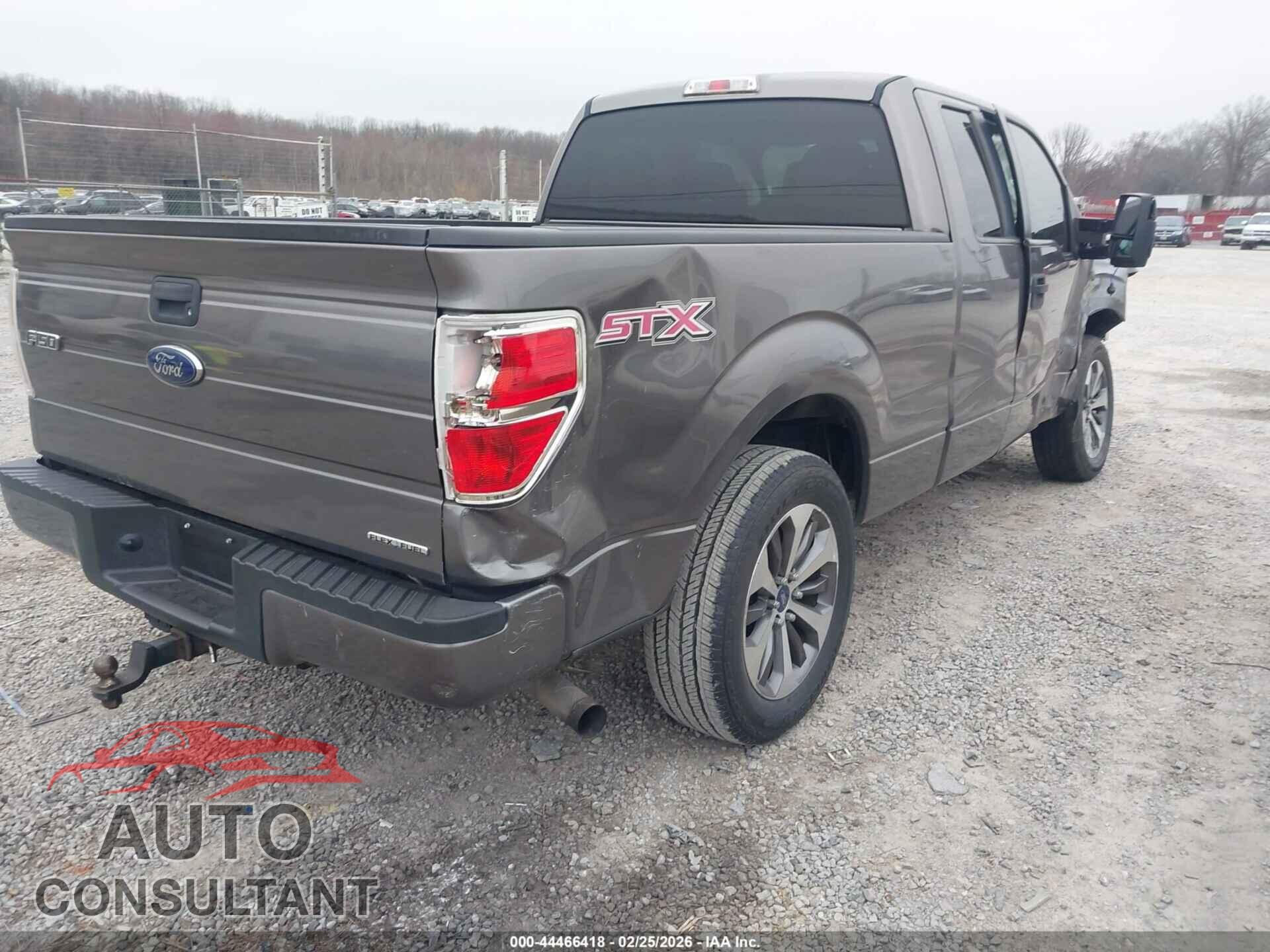 FORD F-150 2013 - 1FTFX1CF8DFD94748