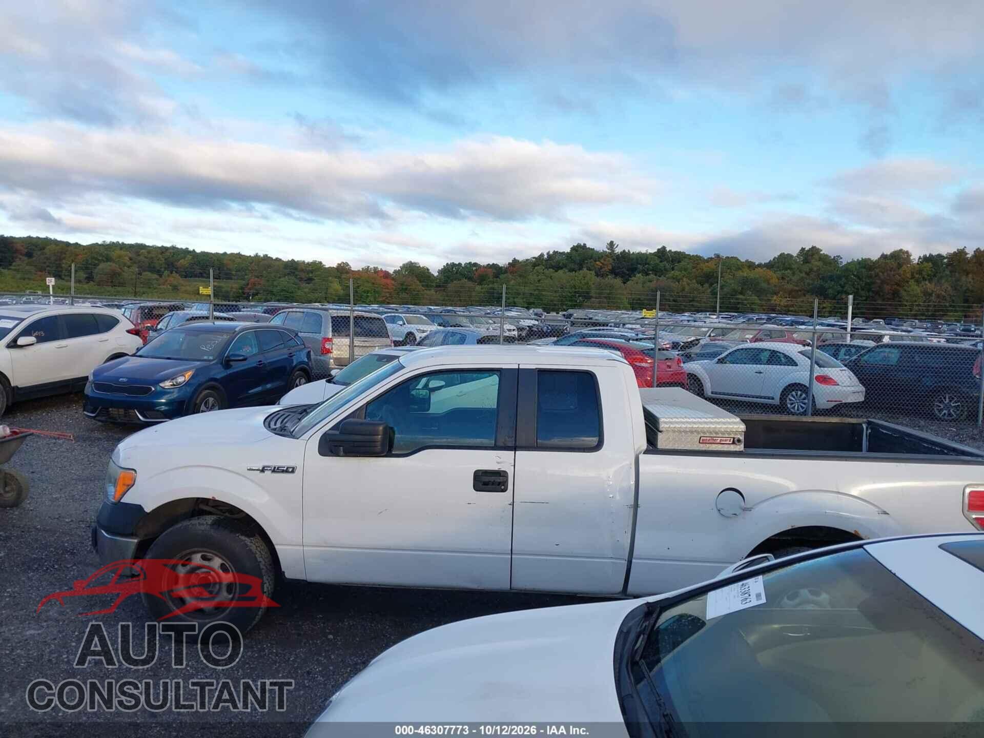 FORD F-150 2012 - 1FTFX1CF5CKD32892