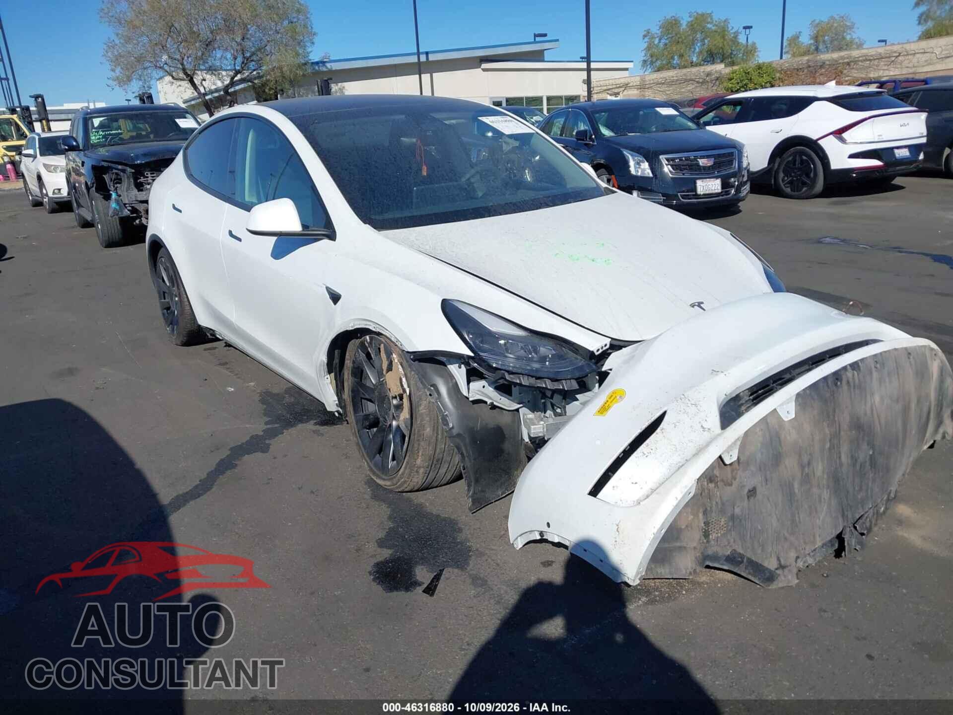 TESLA MODEL Y 2022 - 7SAYGDEE4NF556897