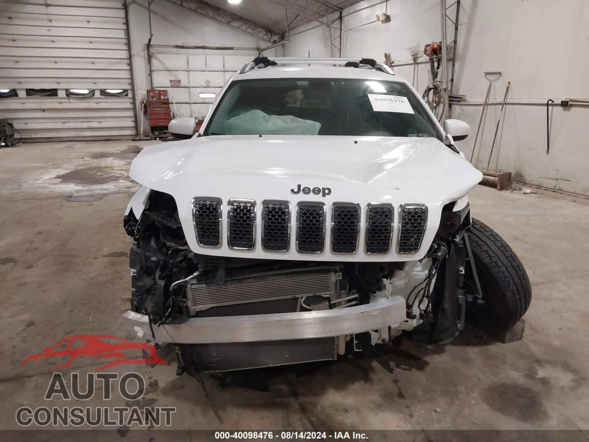 JEEP CHEROKEE 2019 - 1C4PJMLB0KD191124