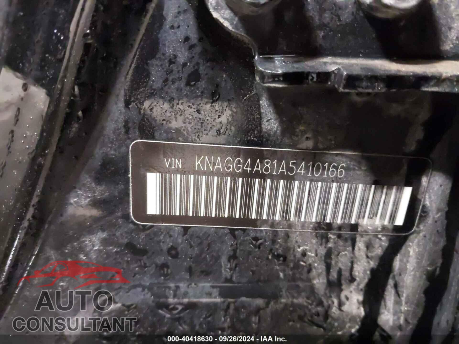 KIA OPTIMA 2010 - KNAGG4A81A5410166